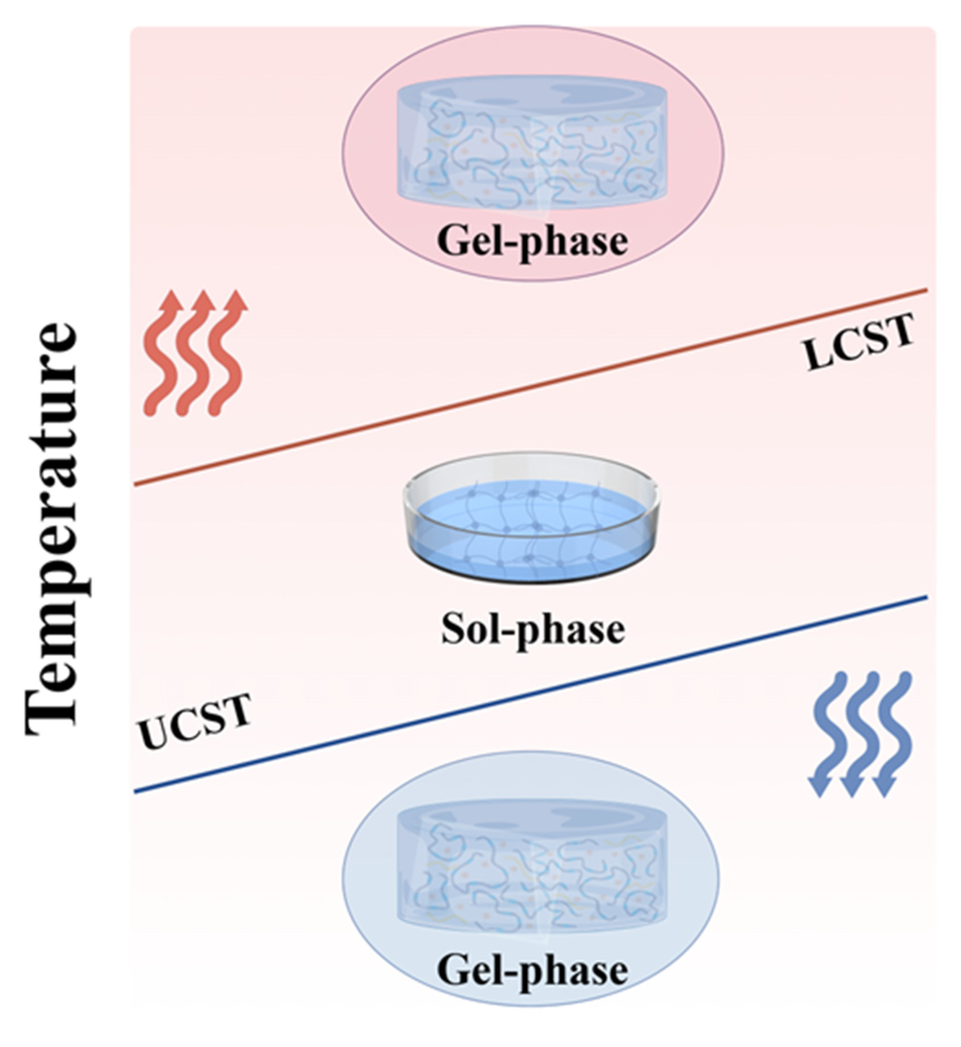 A Comprehensive Review of Thermosensitive Hydrogels