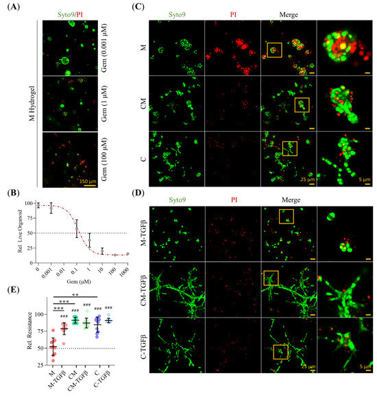 Tumor Organoids Grown in Mixed-Composition Hydrogels Recapitulate