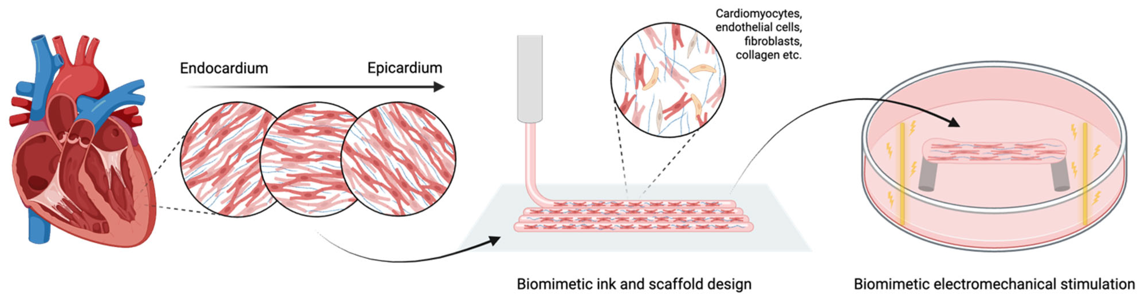 Gels 11 00593 g001 Gels 11 00593 g001