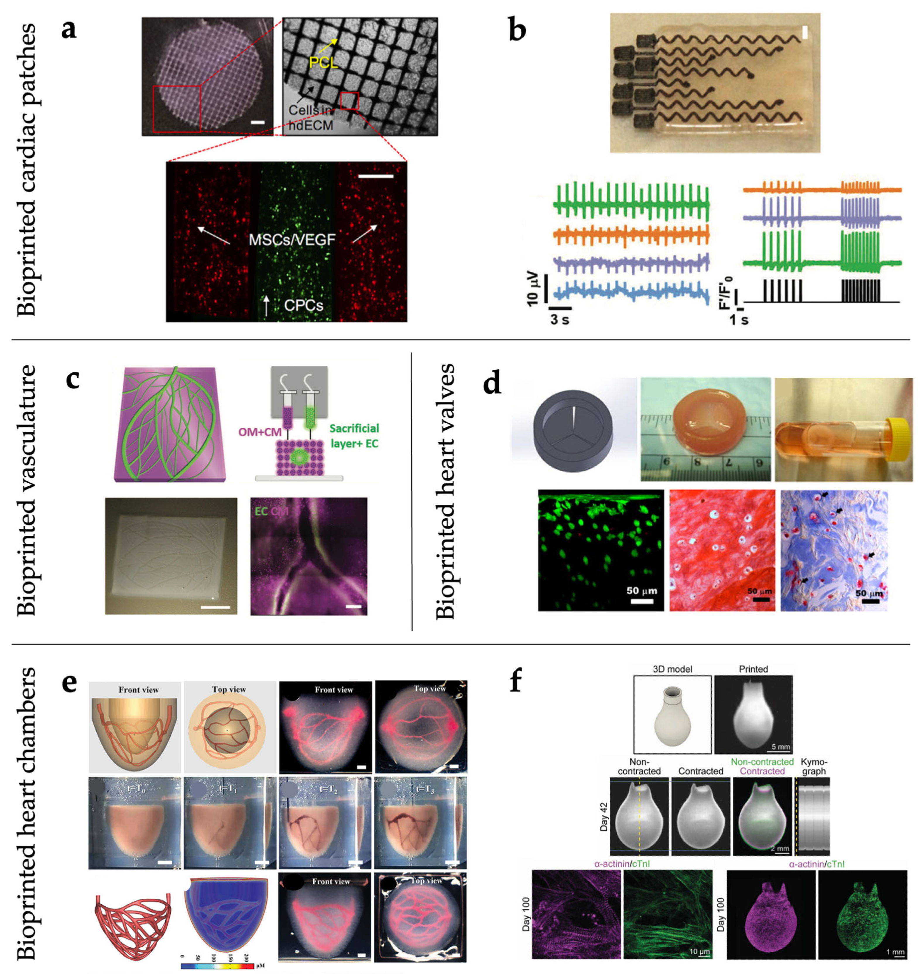 Gels 11 00593 g003 Gels 11 00593 g003