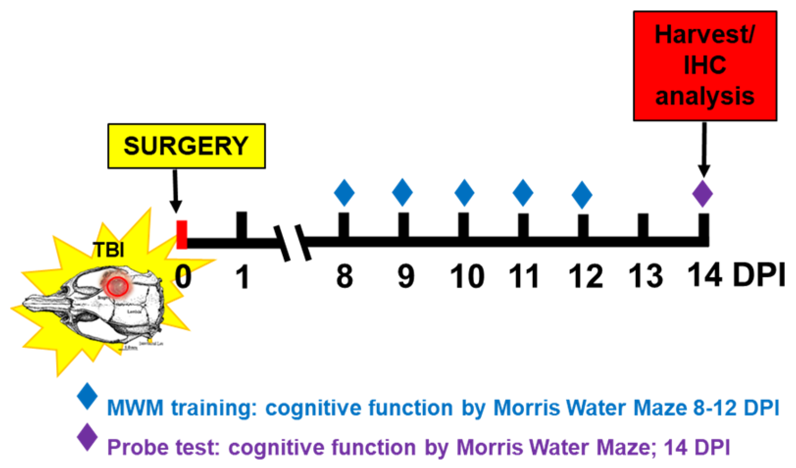 Gels 11 00600 sch001