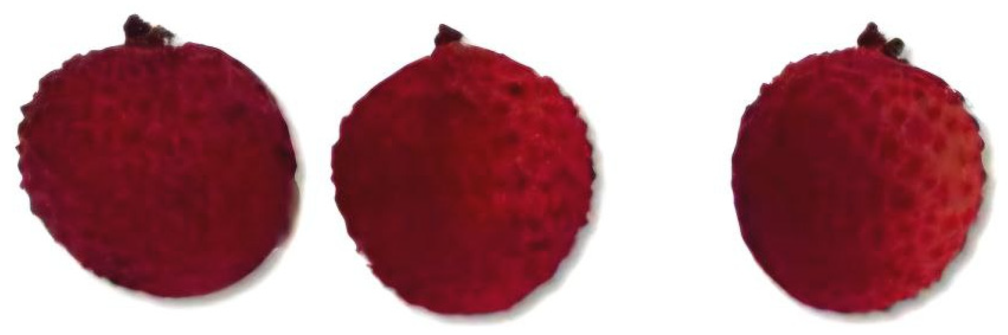 Gels 11 00608 g003 Gels 11 00608 g003