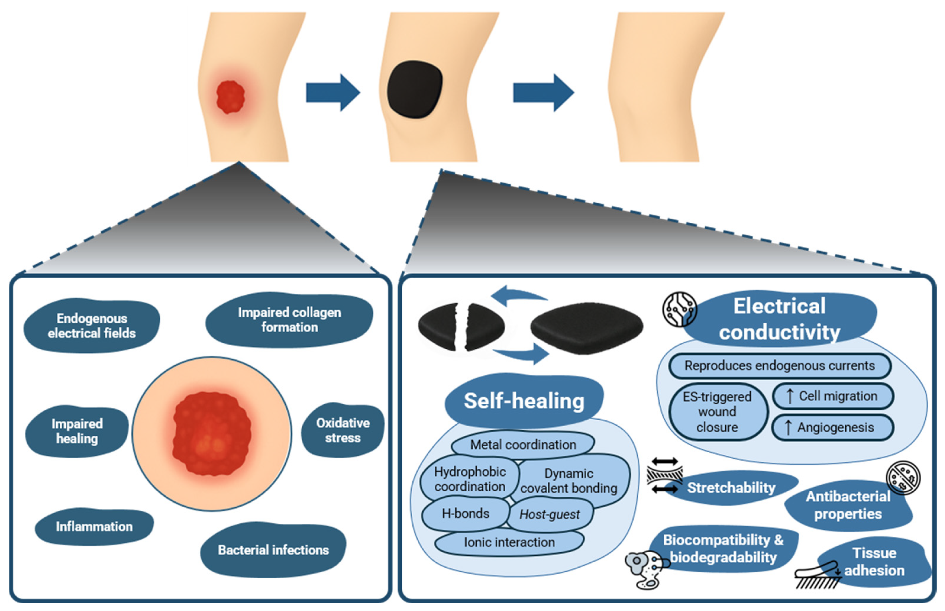 Gels 11 00619 g001 Gels 11 00619 g001