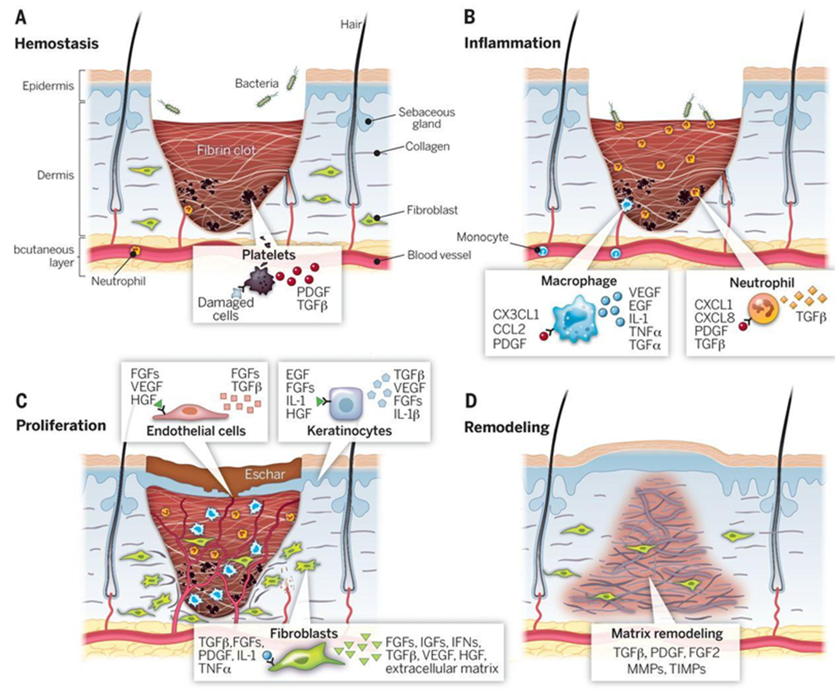 Gels 11 00619 g002 Gels 11 00619 g002