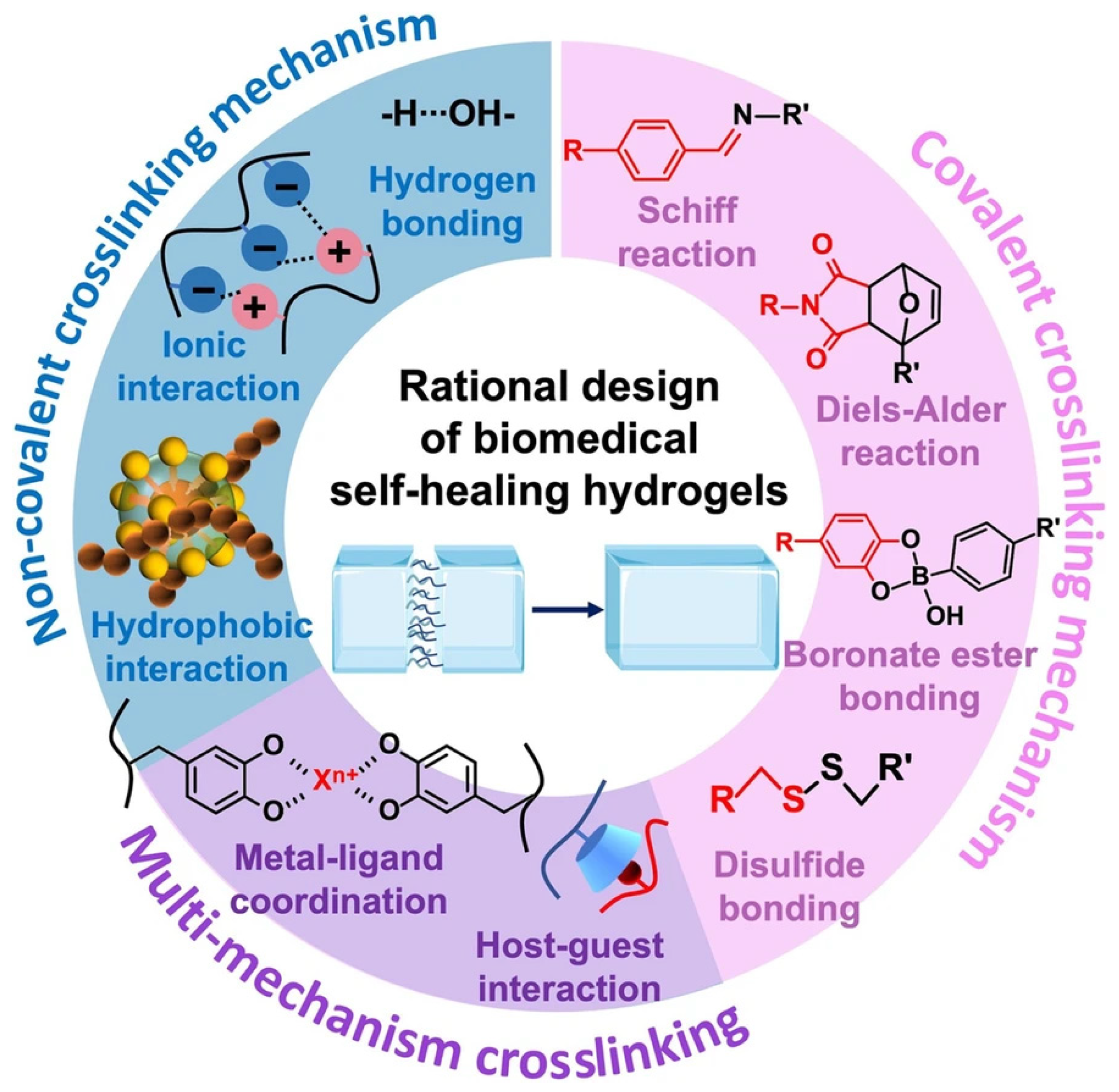 Gels 11 00619 g003 Gels 11 00619 g003