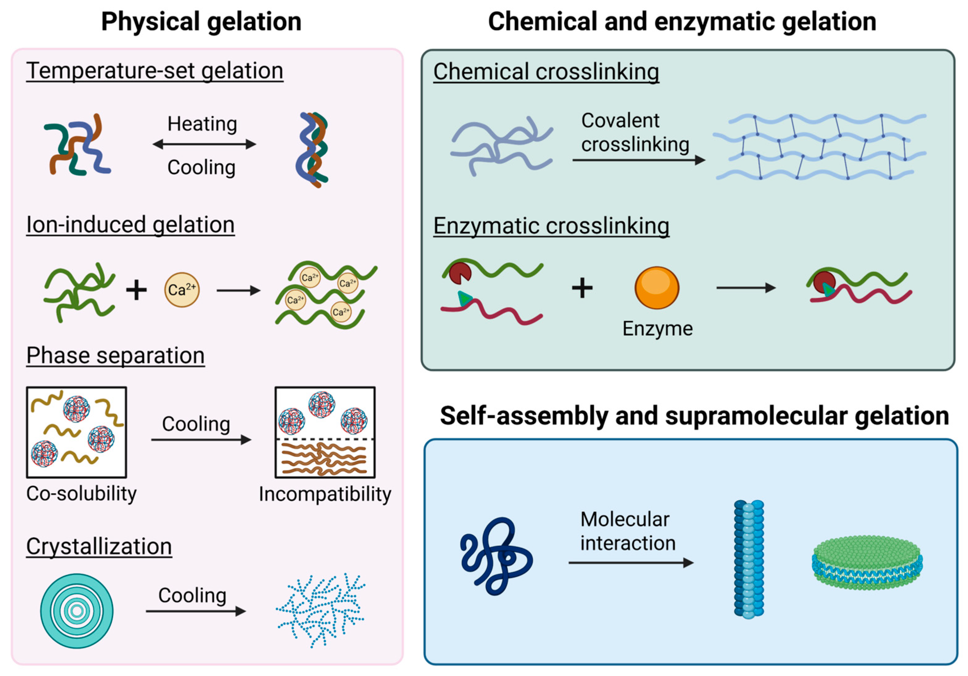 Gels 11 00620 g002 Gels 11 00620 g002
