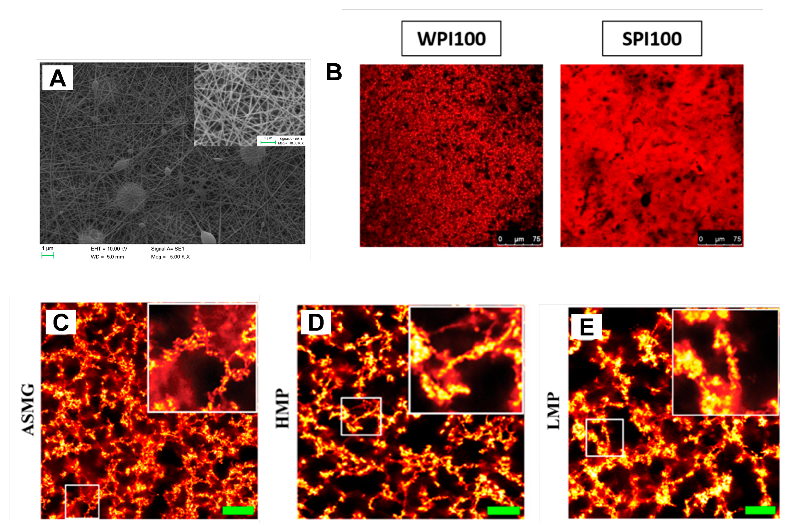 Gels 11 00620 g003 Gels 11 00620 g003