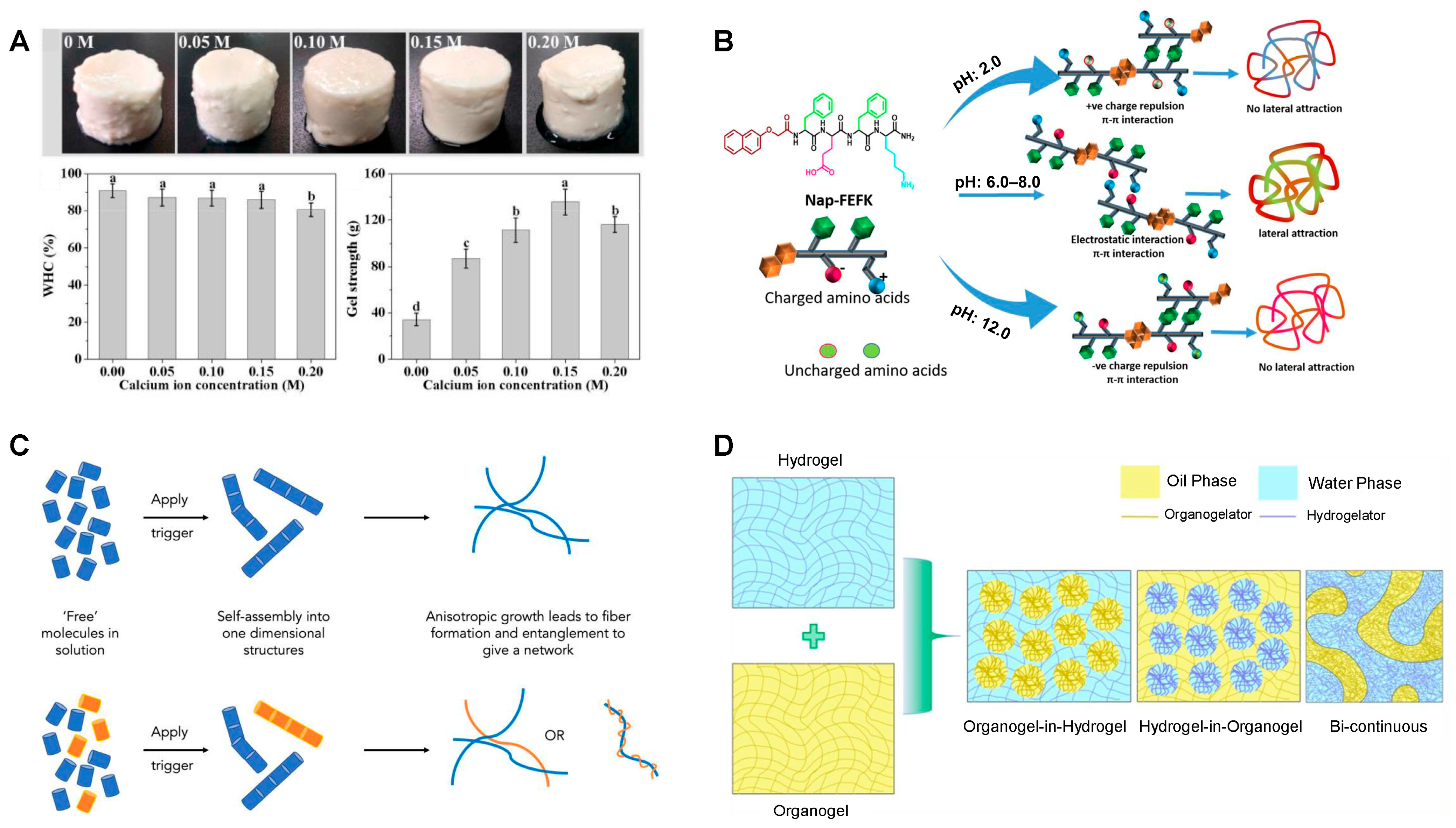 Gels 11 00620 g005 Gels 11 00620 g005