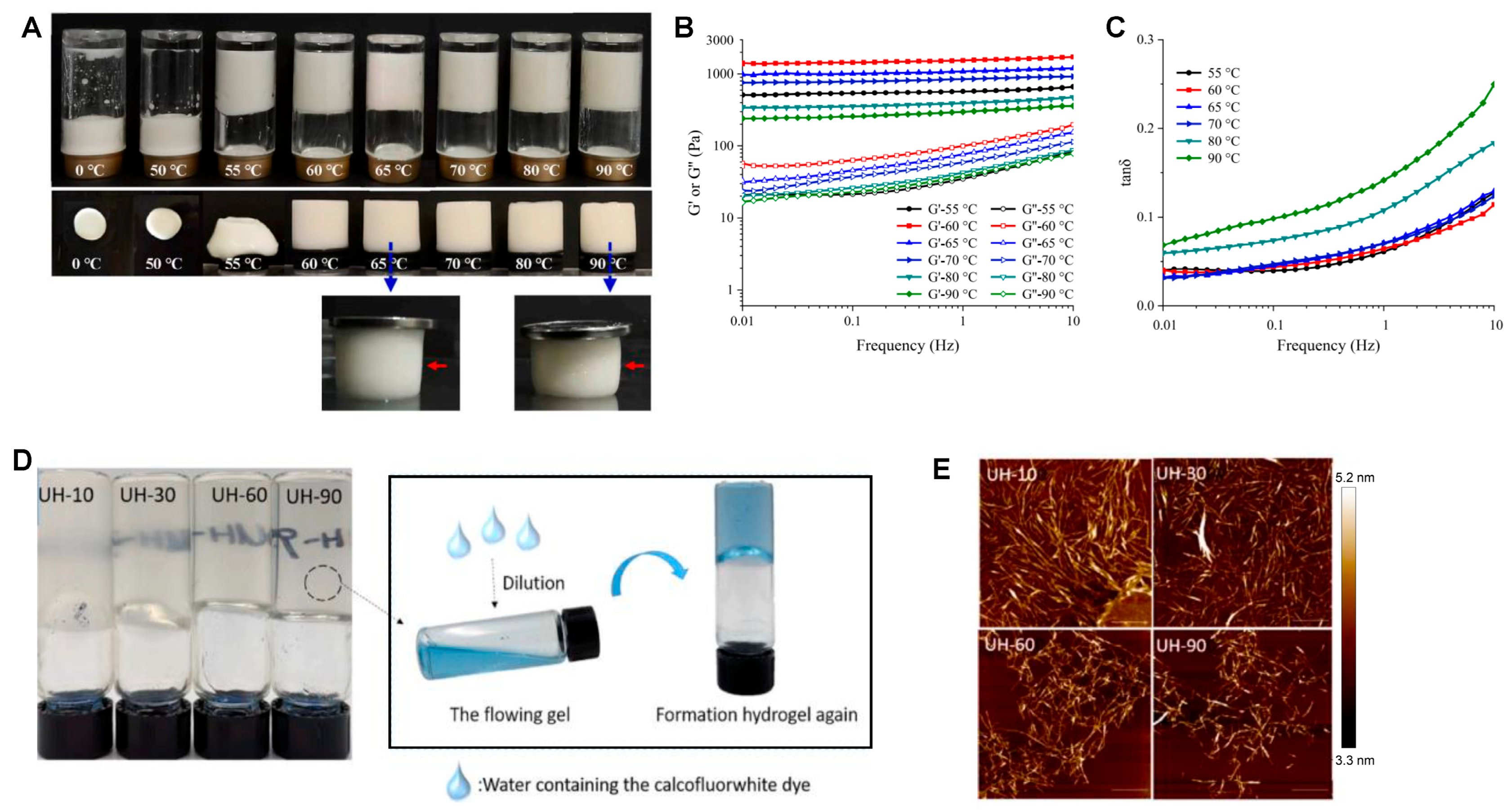 Gels 11 00620 g006 Gels 11 00620 g006