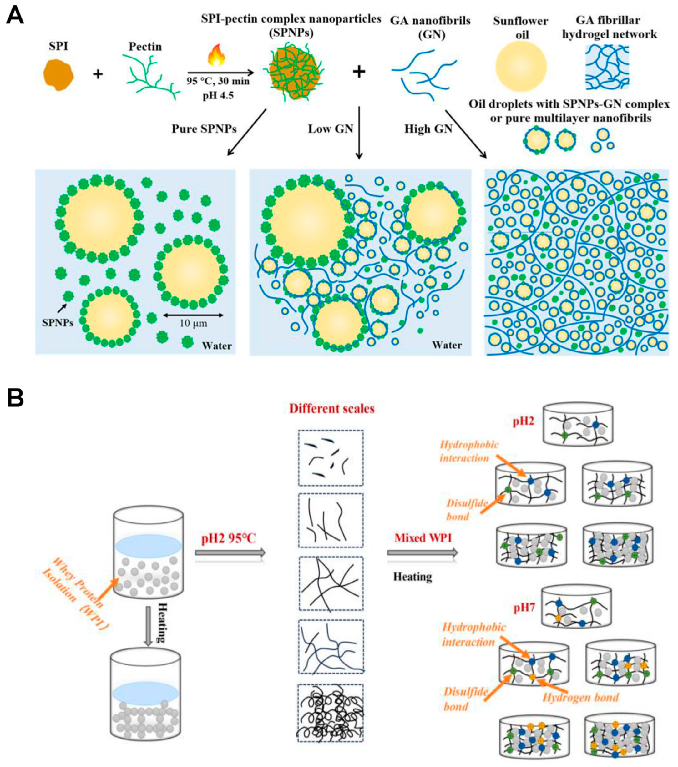 Gels 11 00620 g007 Gels 11 00620 g007