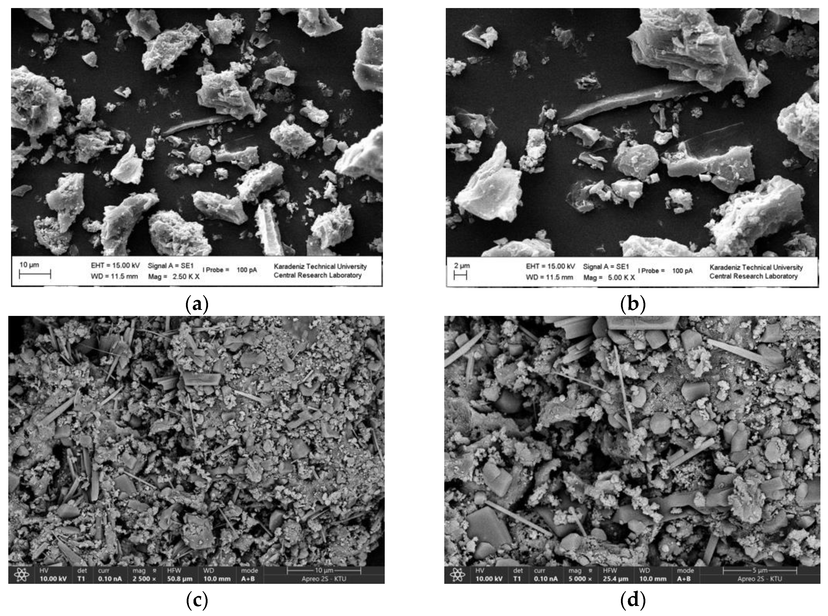 Gels 11 00628 g001 Gels 11 00628 g001