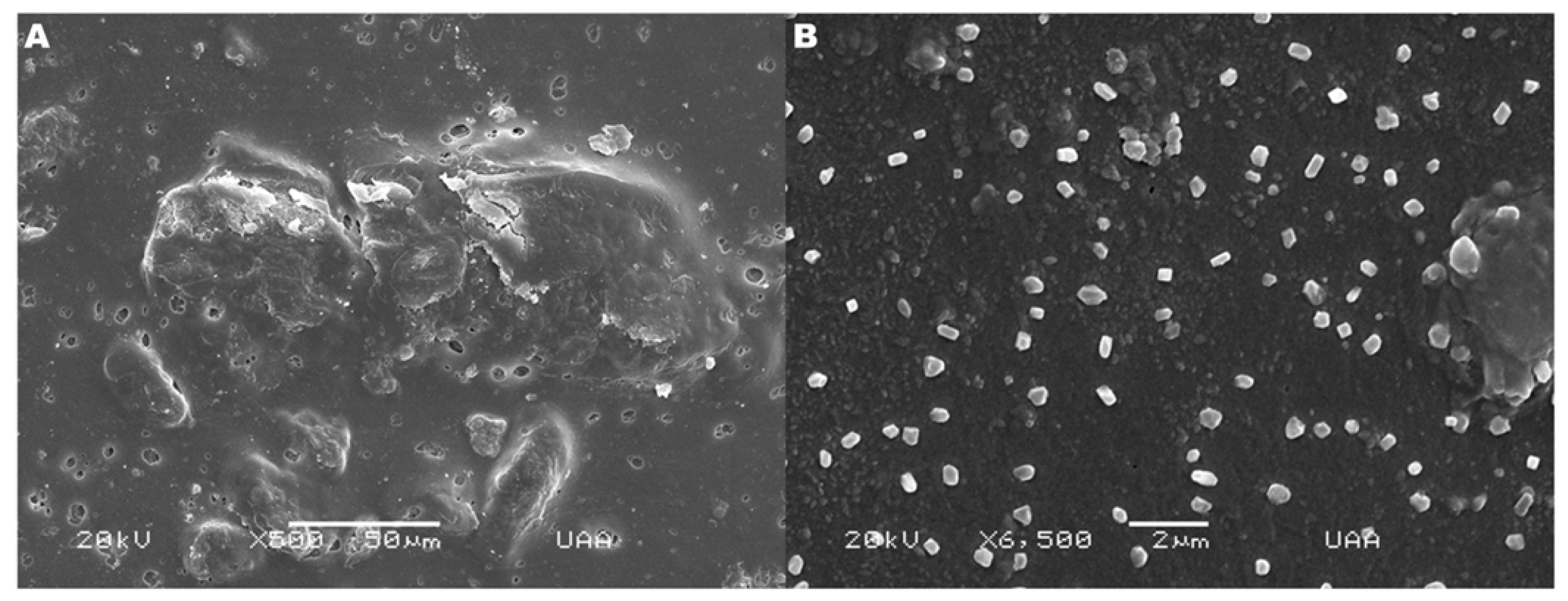 Gels 11 00630 g005 Gels 11 00630 g005