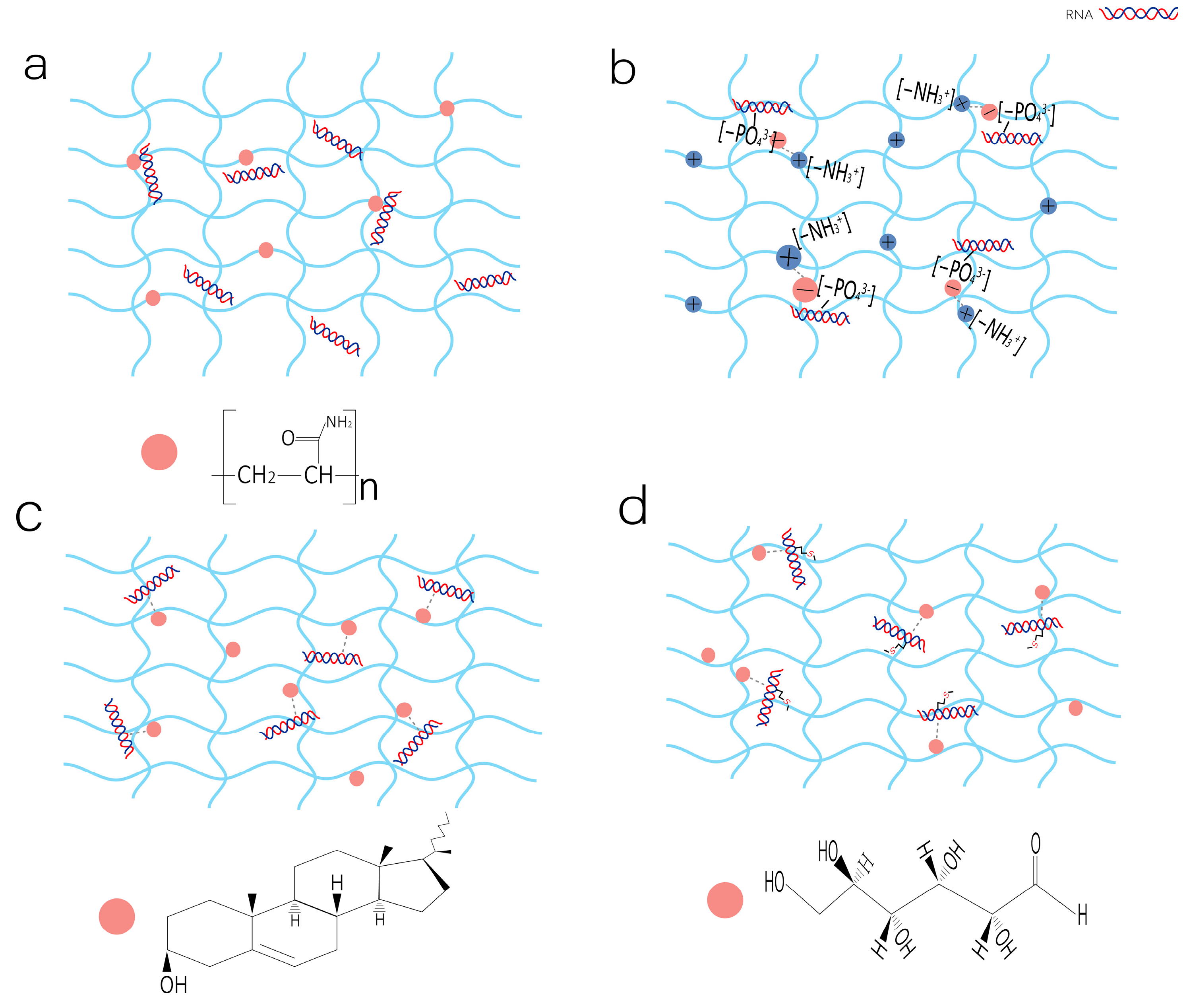Gels 11 00633 g001 Gels 11 00633 g001
