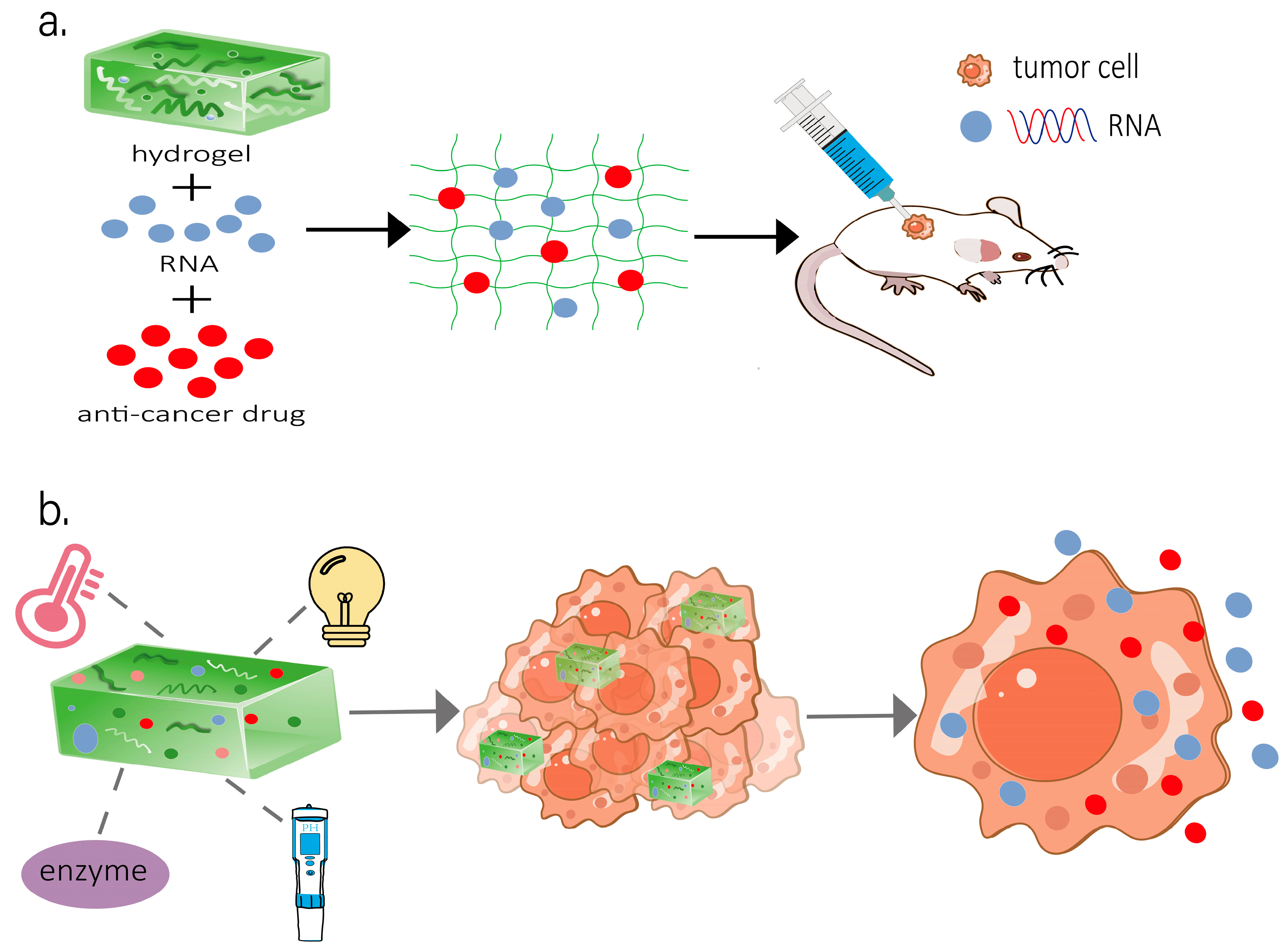 Gels 11 00633 g002 Gels 11 00633 g002