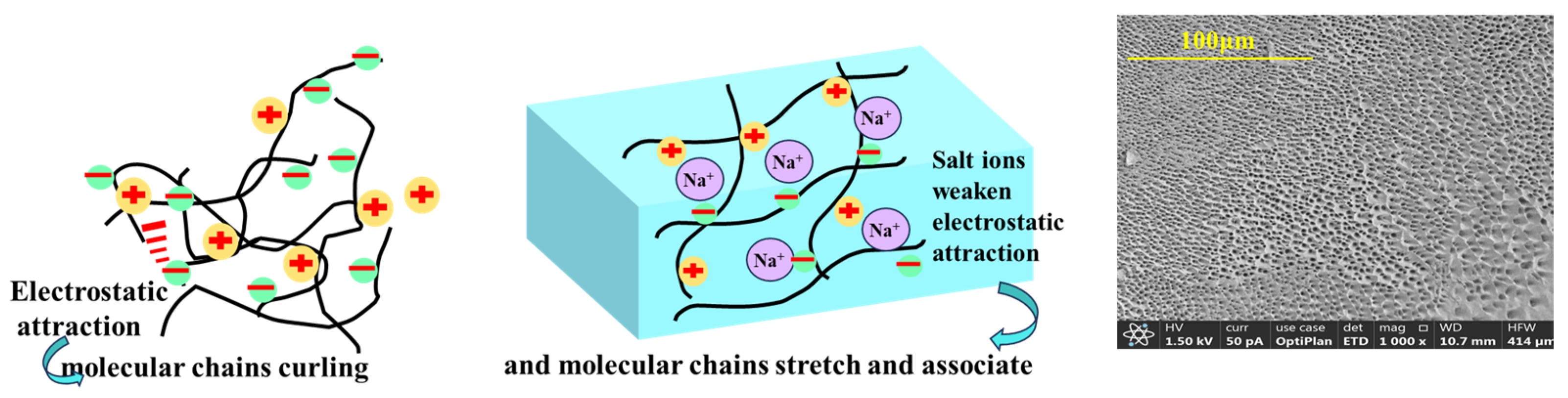 Gels 11 00637 g008 Gels 11 00637 g008