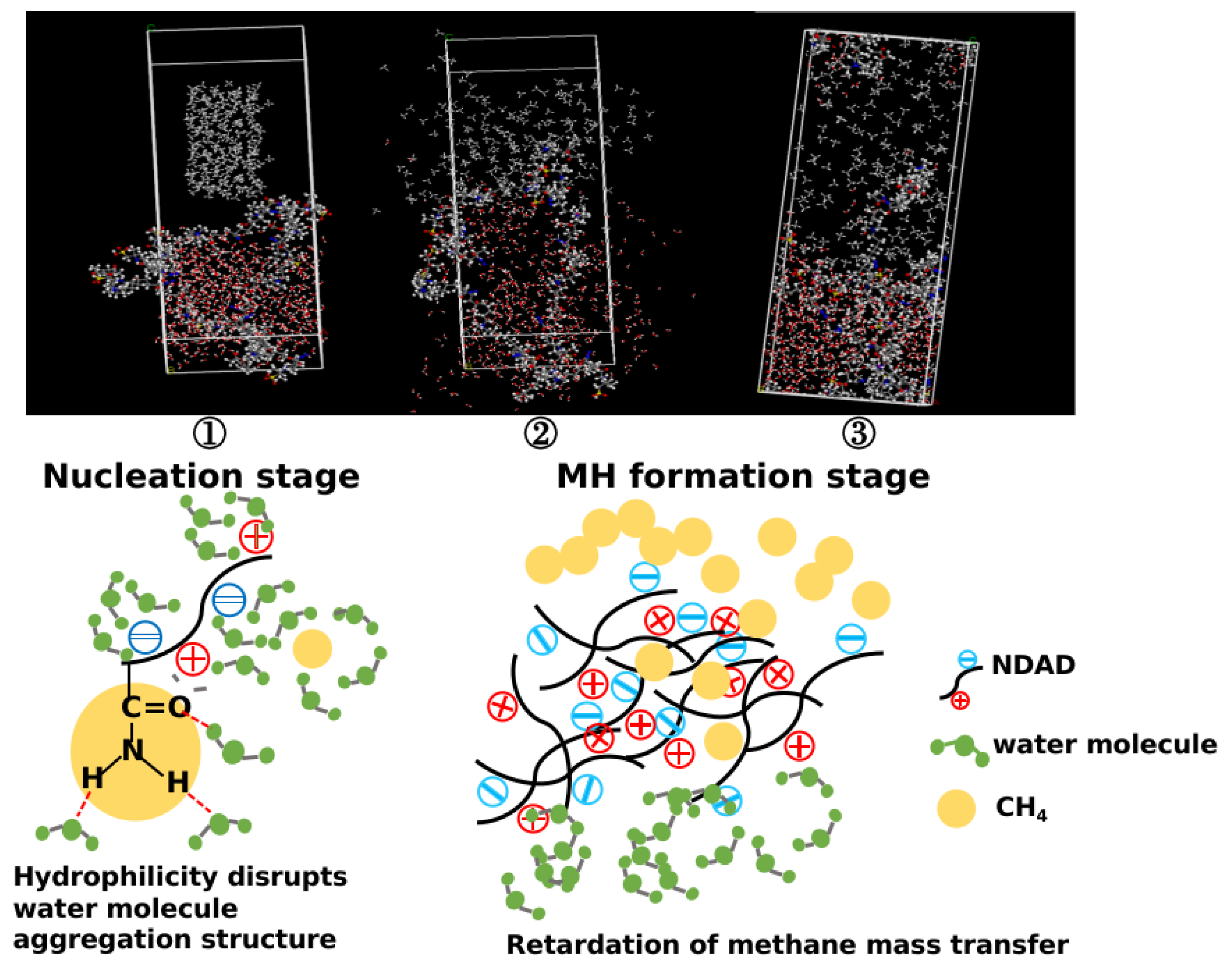 Gels 11 00637 g011 Gels 11 00637 g011