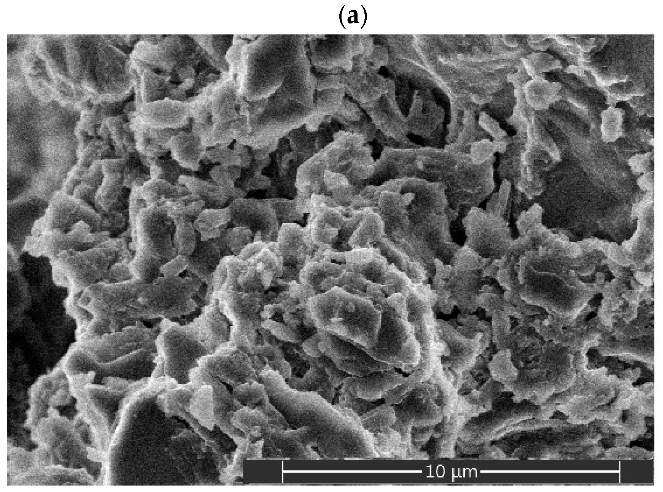 Gels 11 00638 g008a Gels 11 00638 g008a