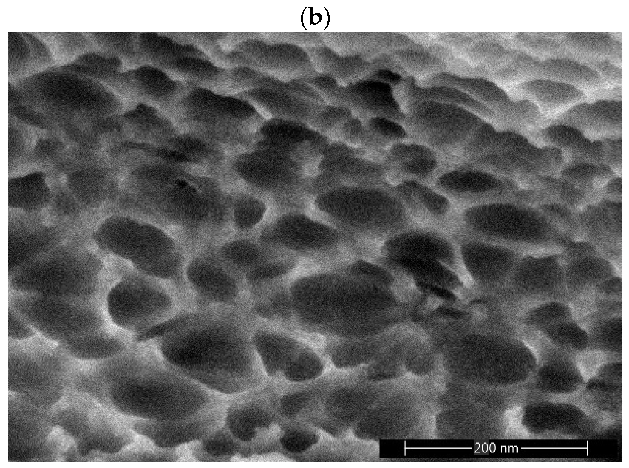 Gels 11 00638 g008b Gels 11 00638 g008b