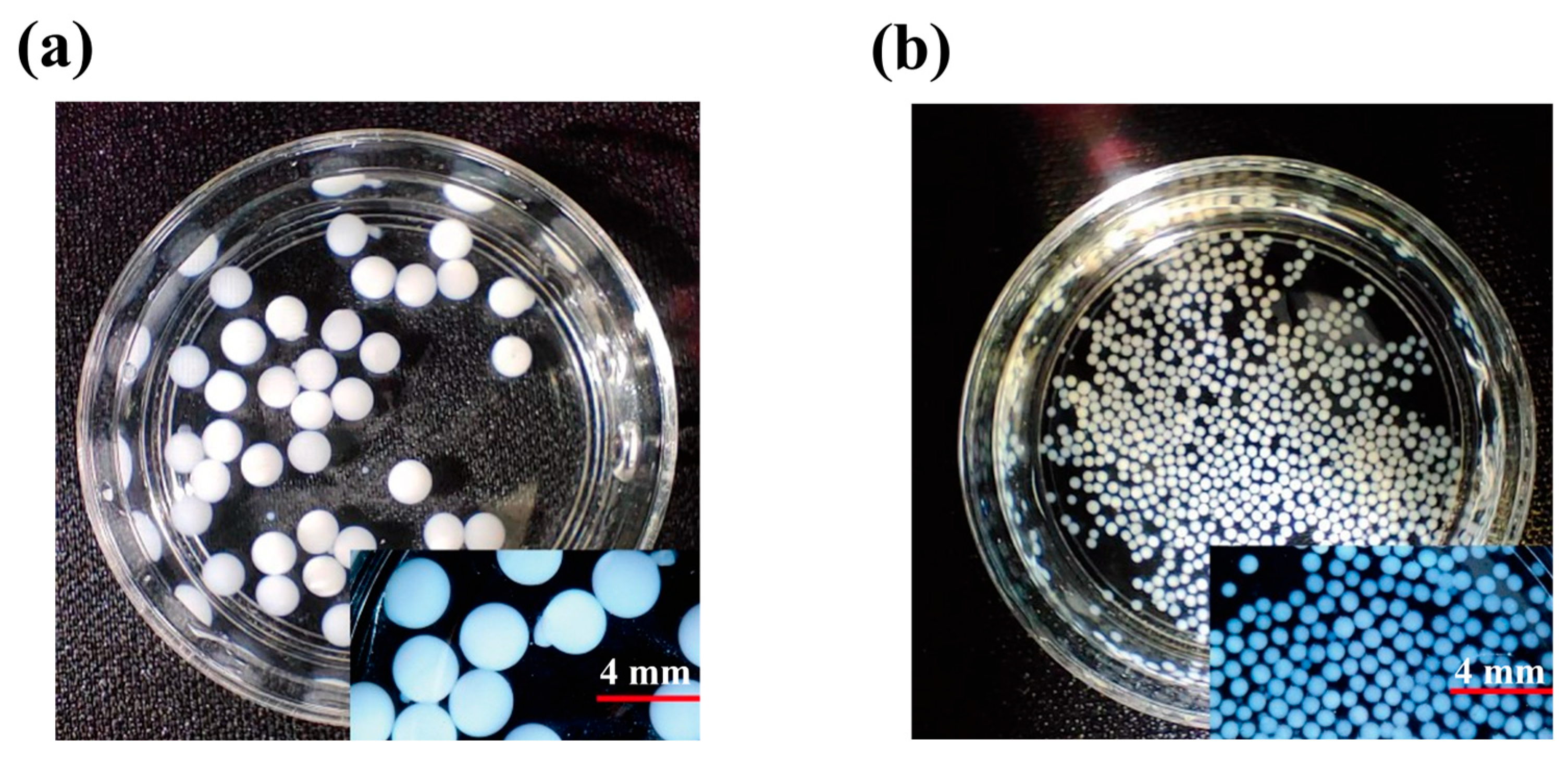 Gels 11 00646 g005 Gels 11 00646 g005