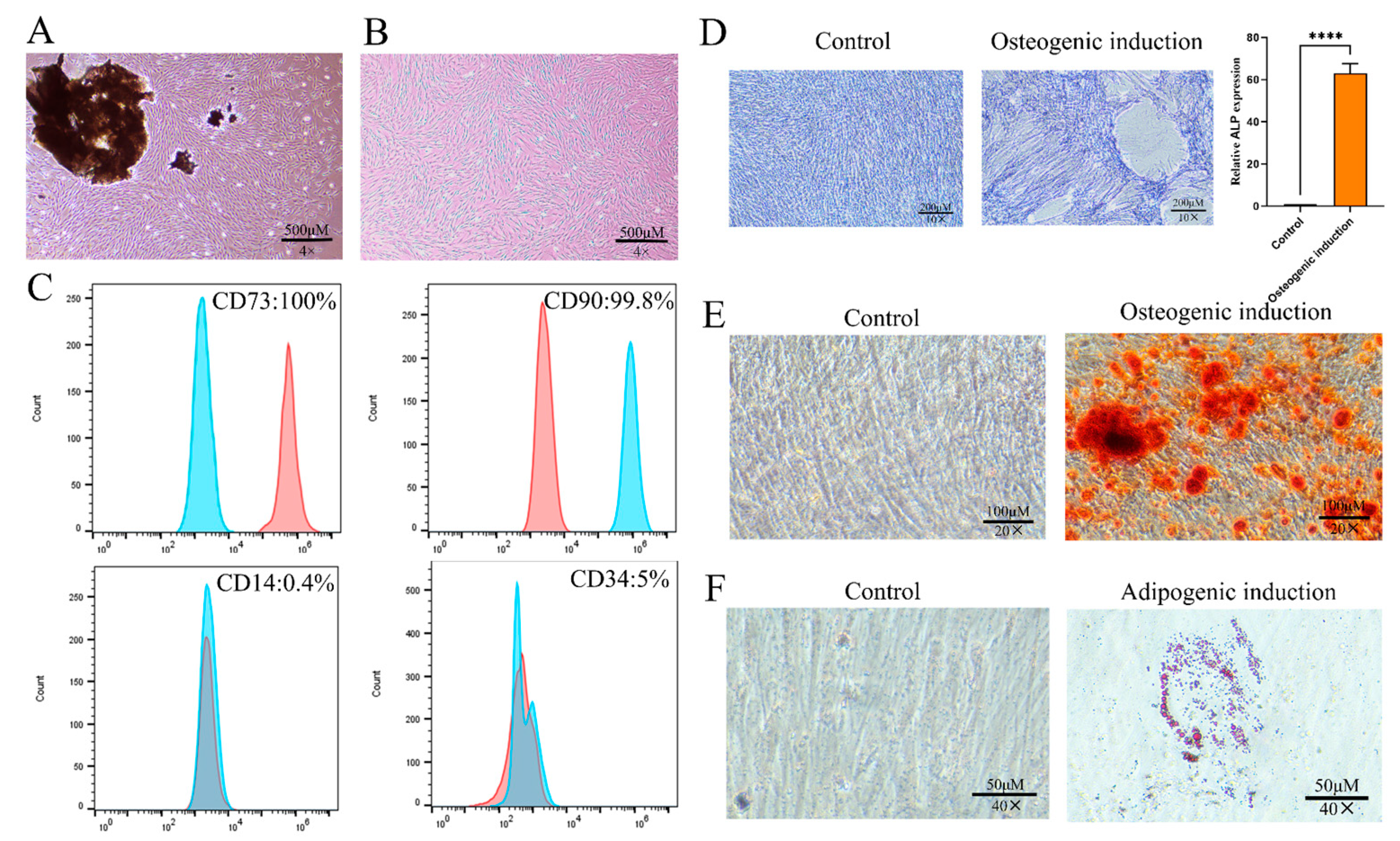 Gels 11 00648 g001 Gels 11 00648 g001