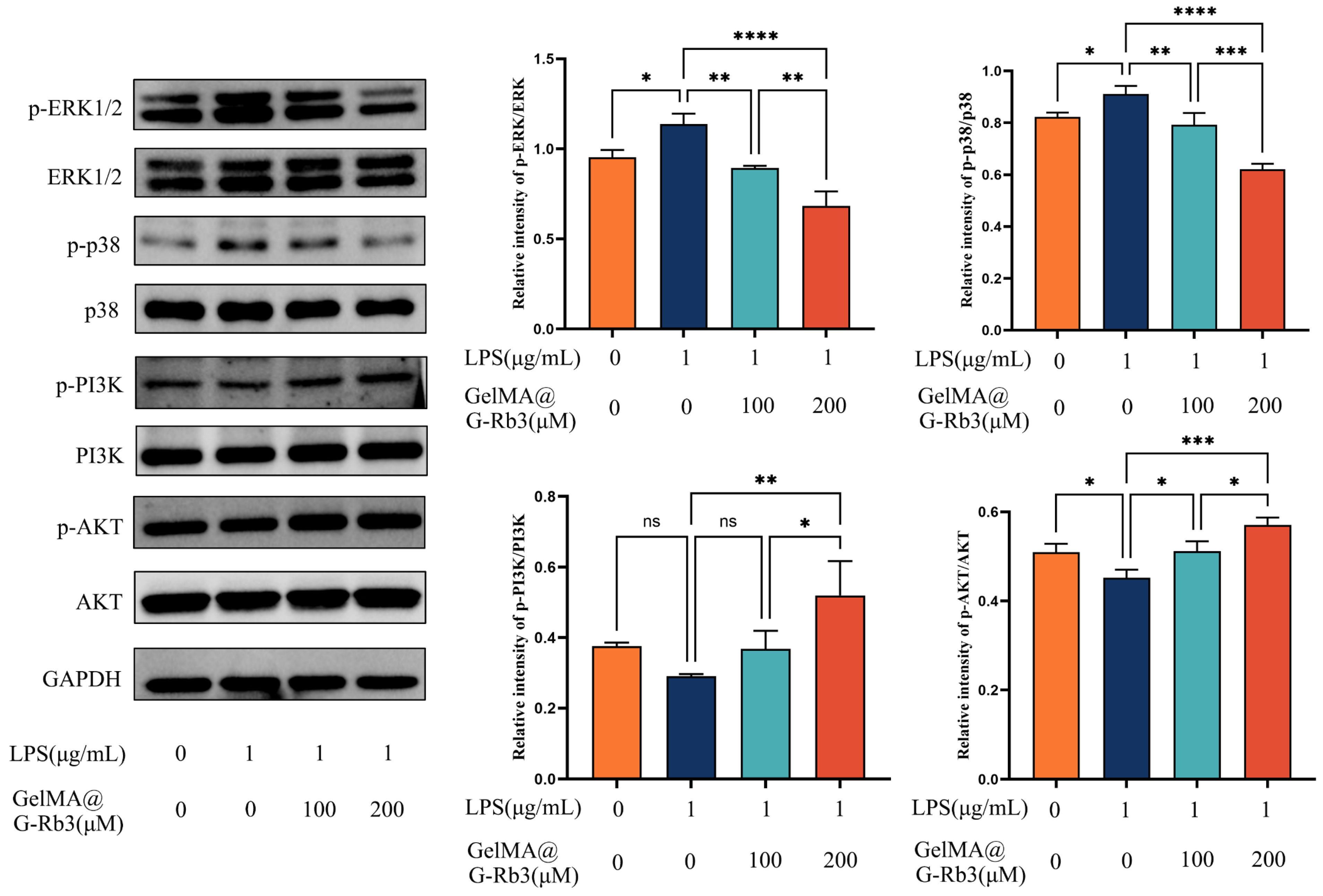 Gels 11 00648 g006 Gels 11 00648 g006