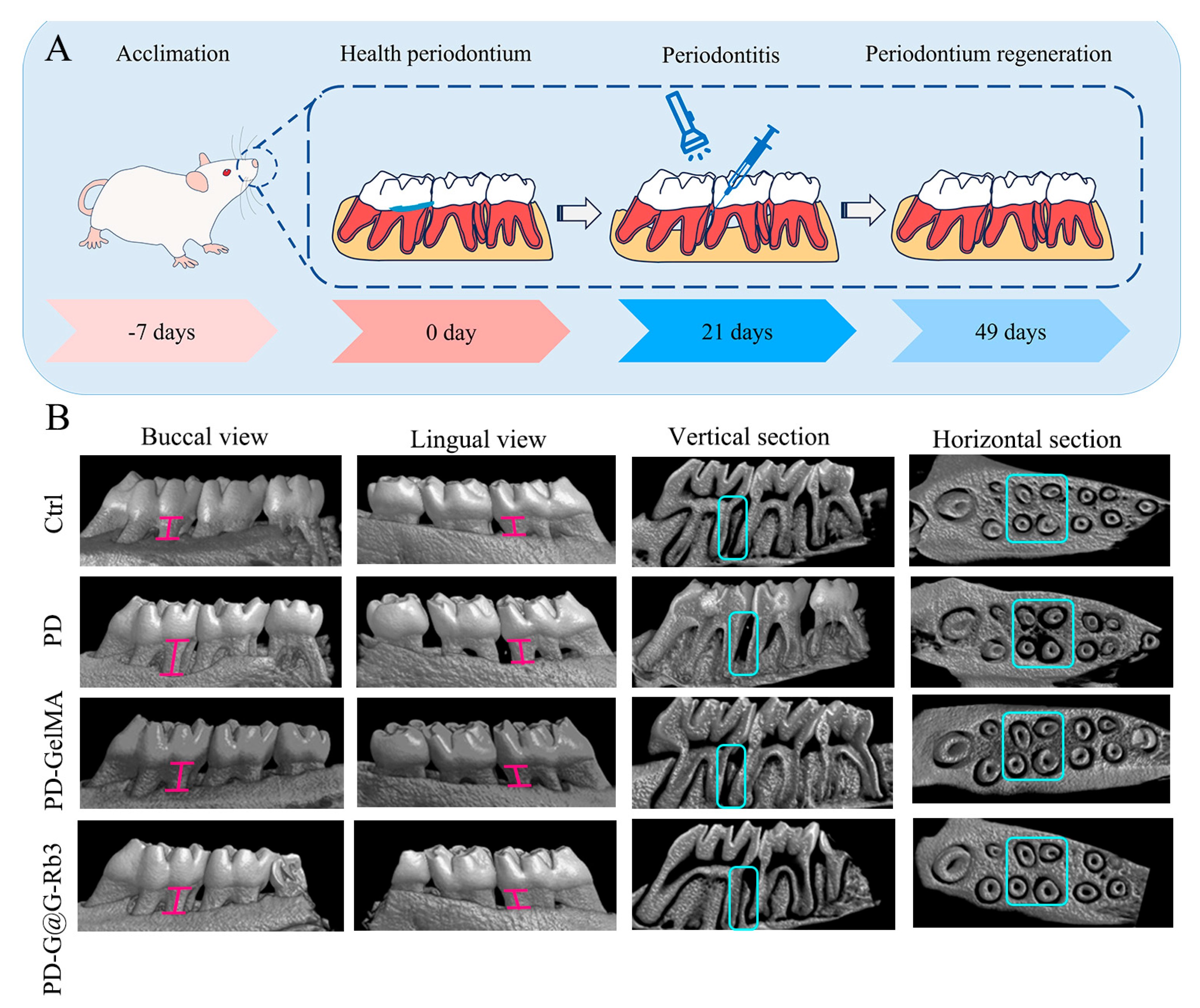 Gels 11 00648 g007 Gels 11 00648 g007