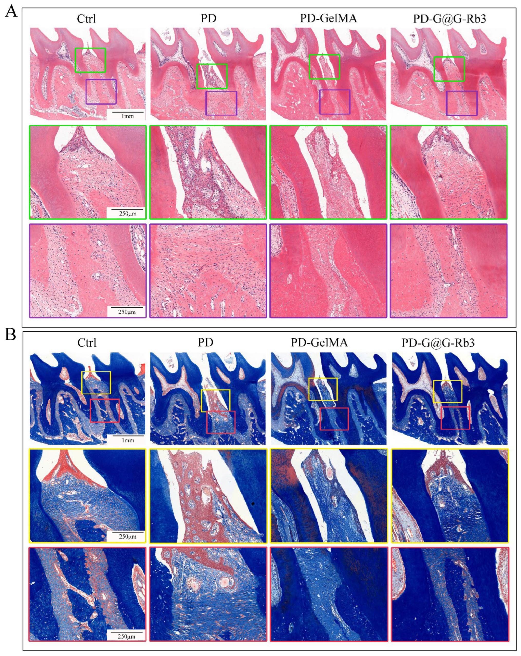 Gels 11 00648 g008 Gels 11 00648 g008