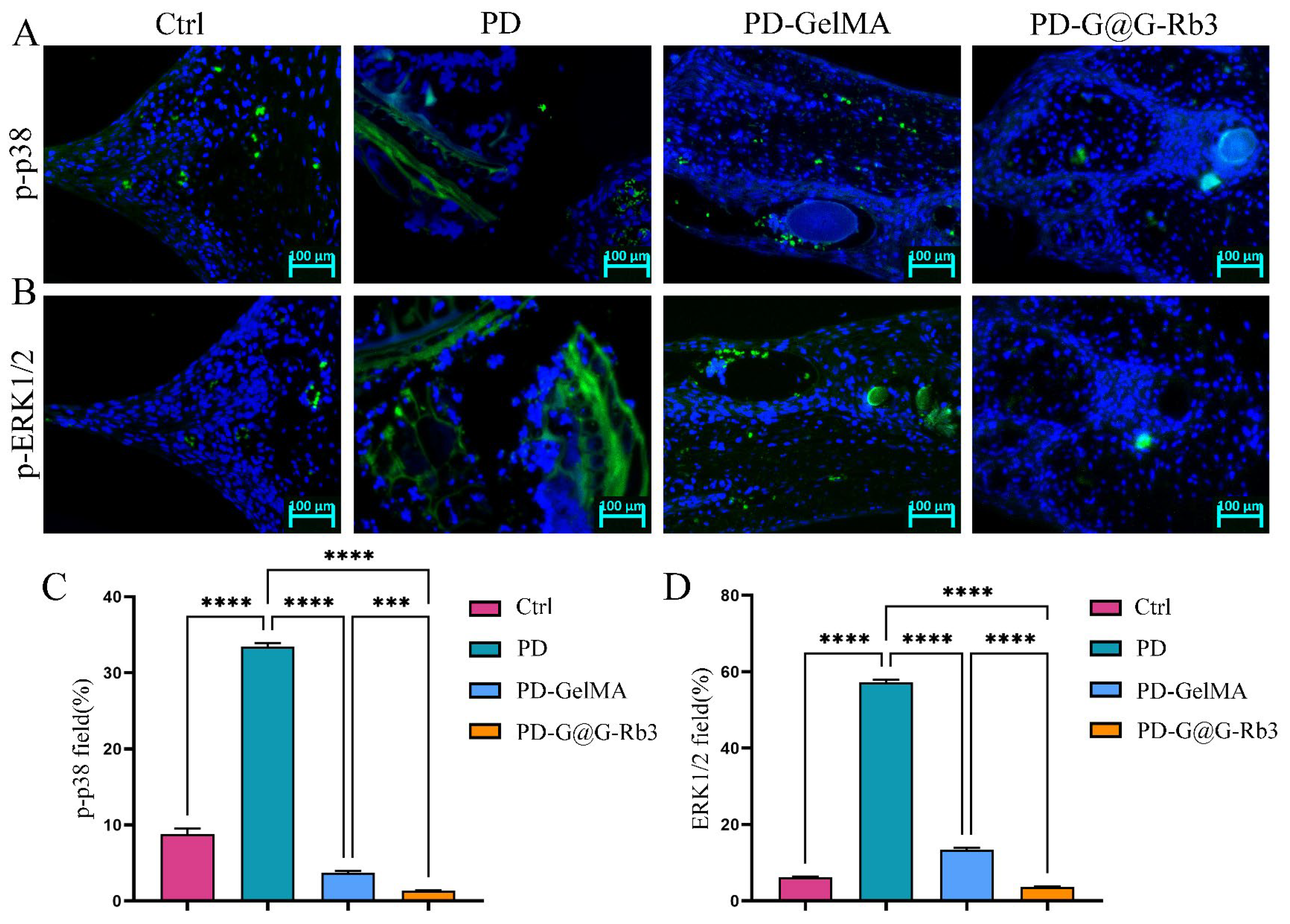 Gels 11 00648 g009 Gels 11 00648 g009
