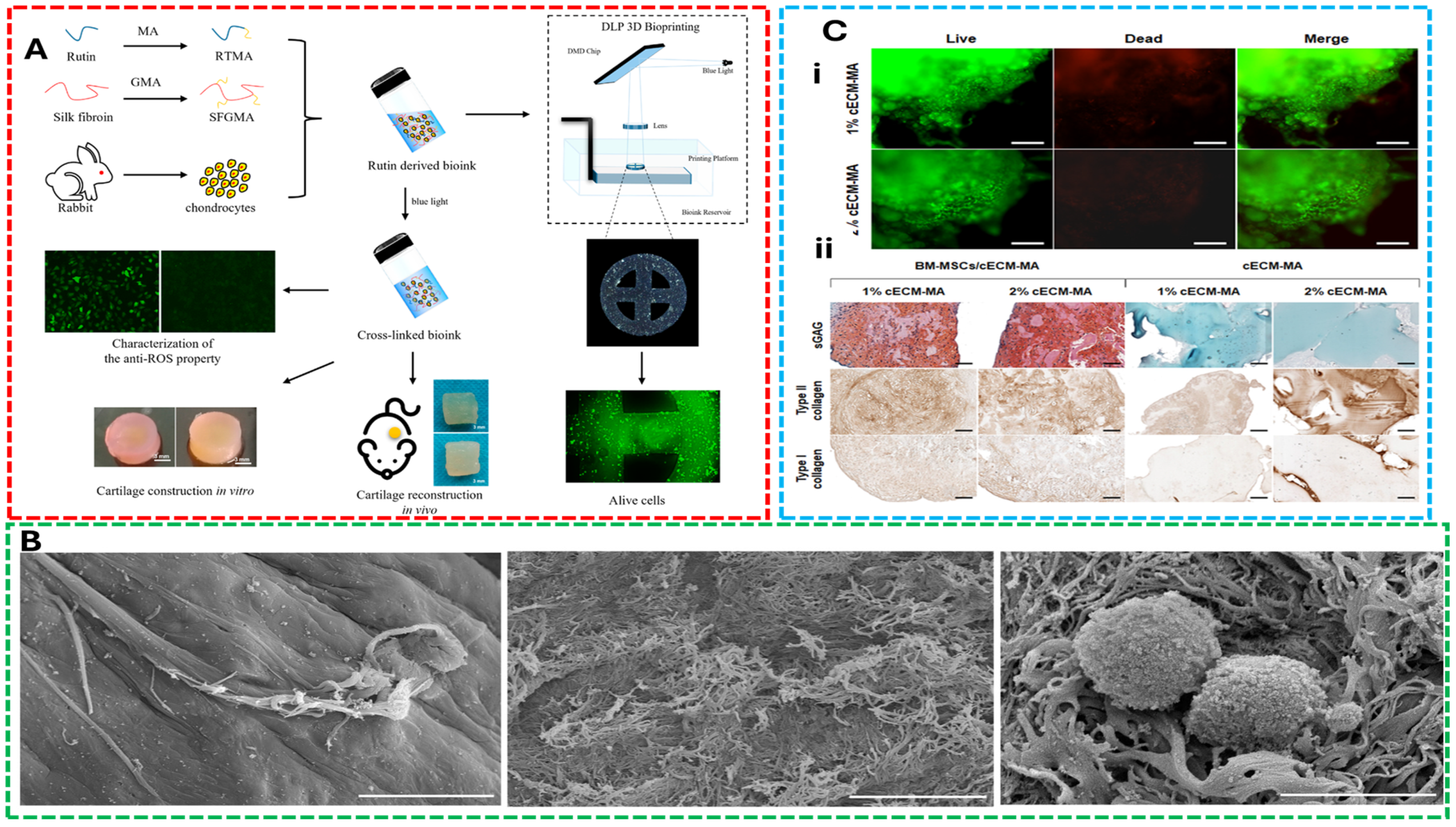 Gels 11 00659 g003 Gels 11 00659 g003