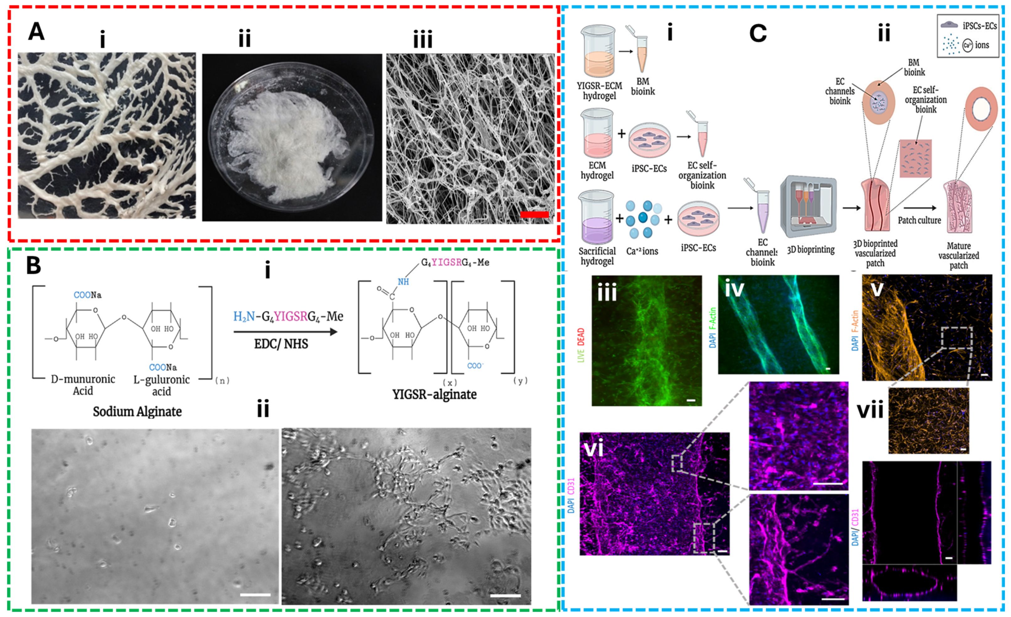 Gels 11 00659 g004 Gels 11 00659 g004