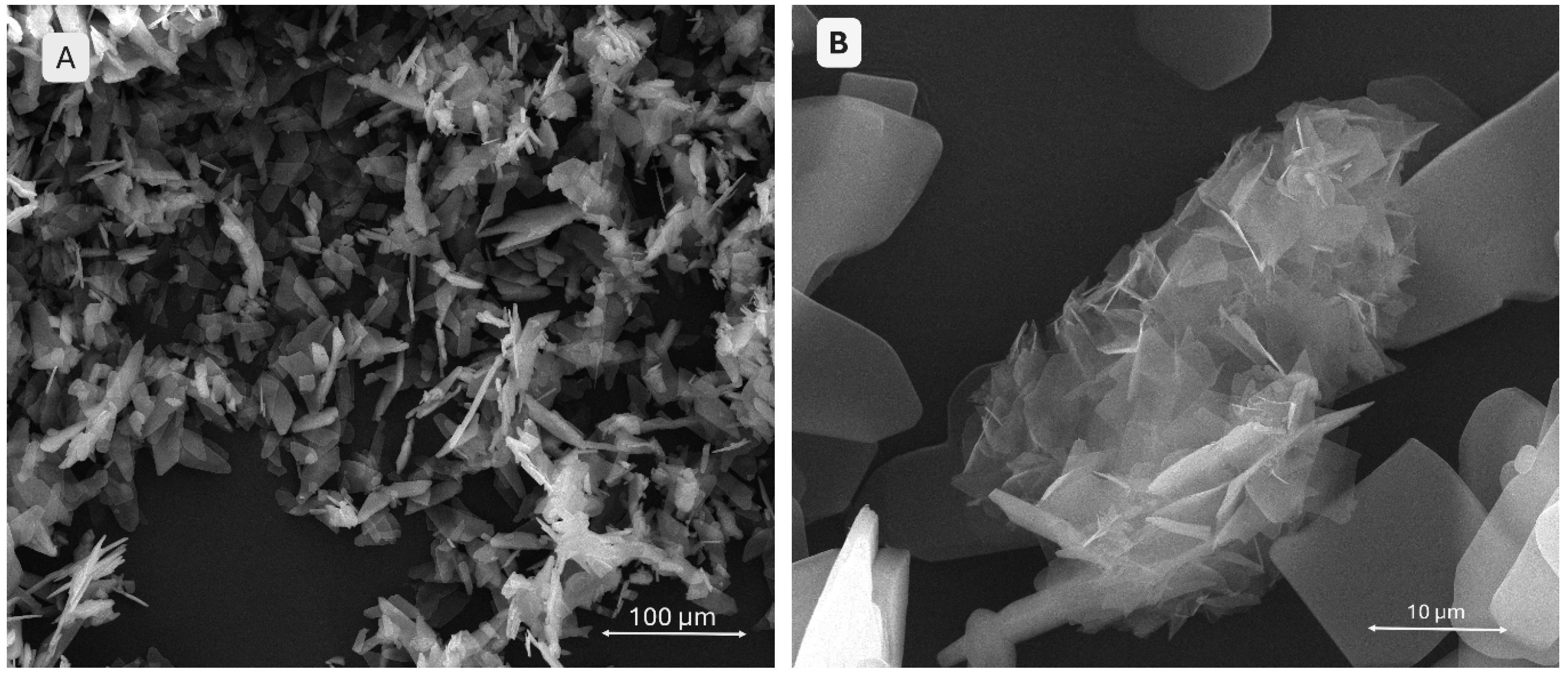 Gels 11 00665 g003 Gels 11 00665 g003