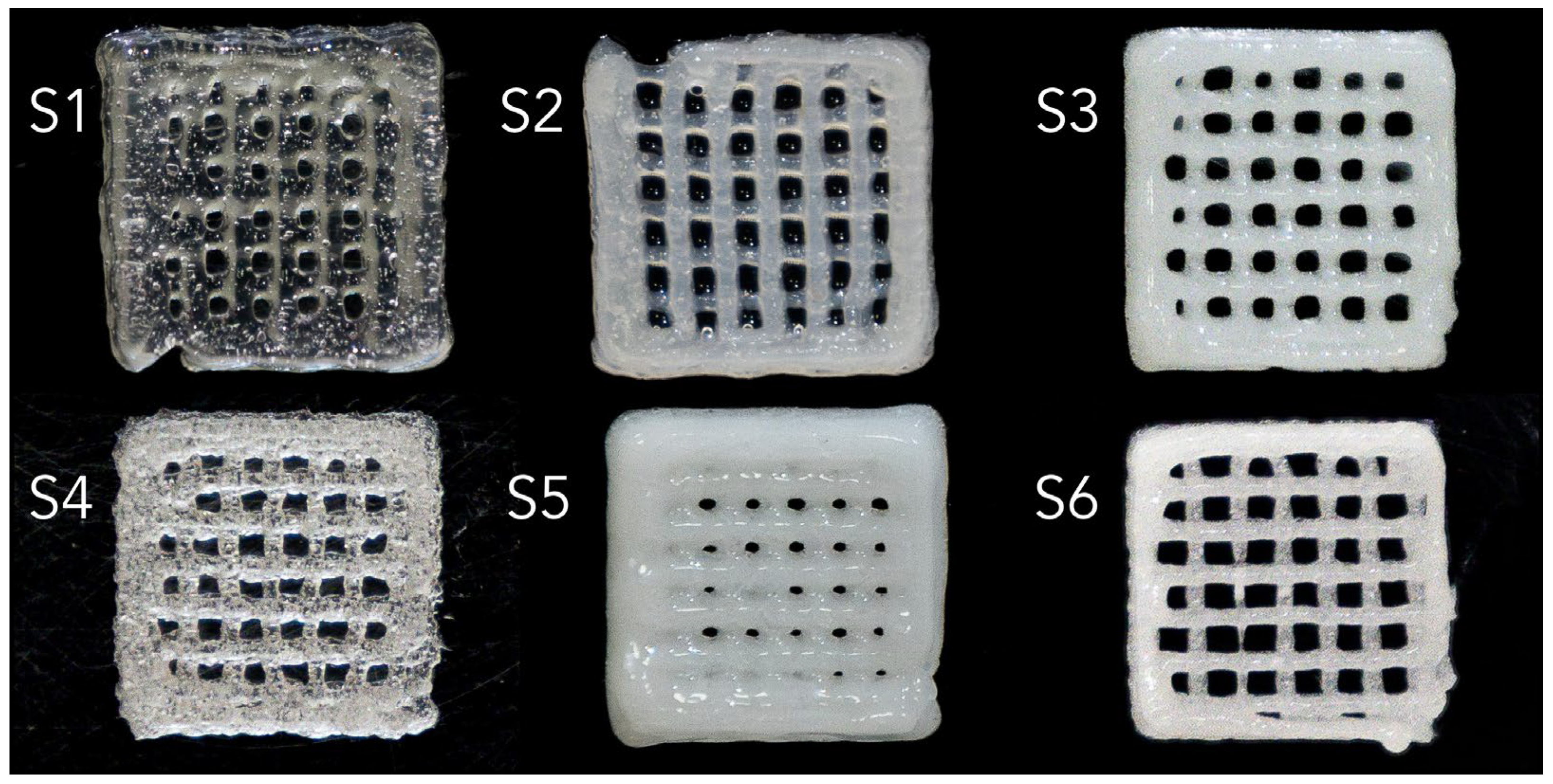 Gels 11 00665 g010 Gels 11 00665 g010