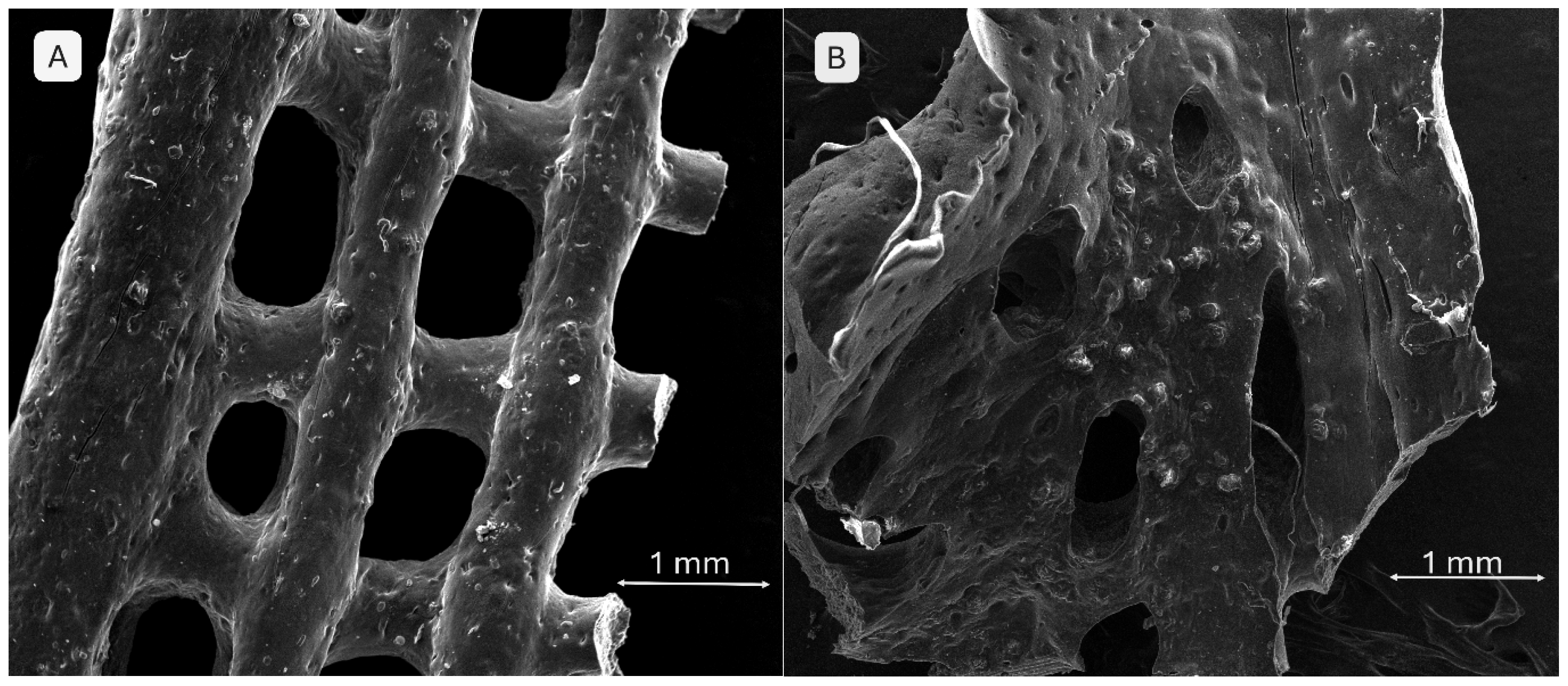 Gels 11 00665 g014 Gels 11 00665 g014