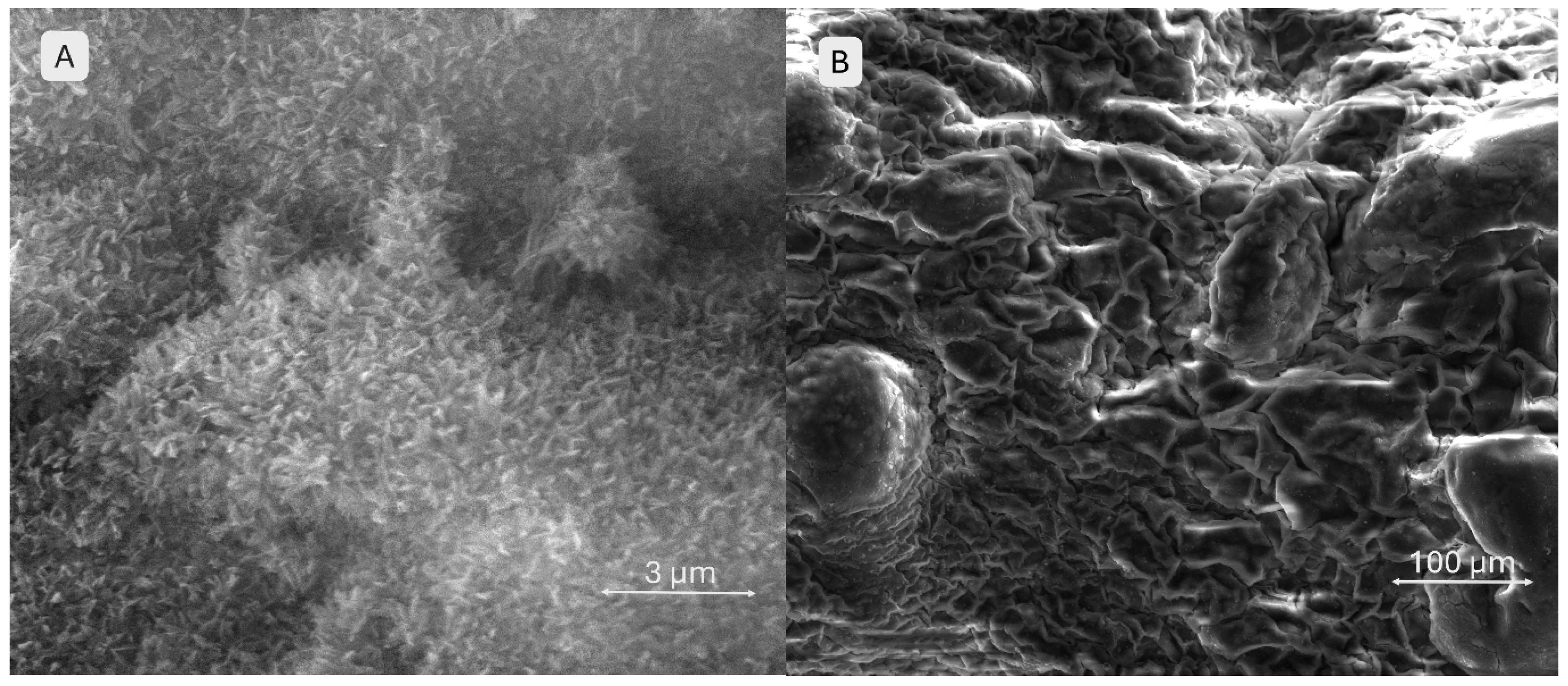 Gels 11 00665 g015 Gels 11 00665 g015