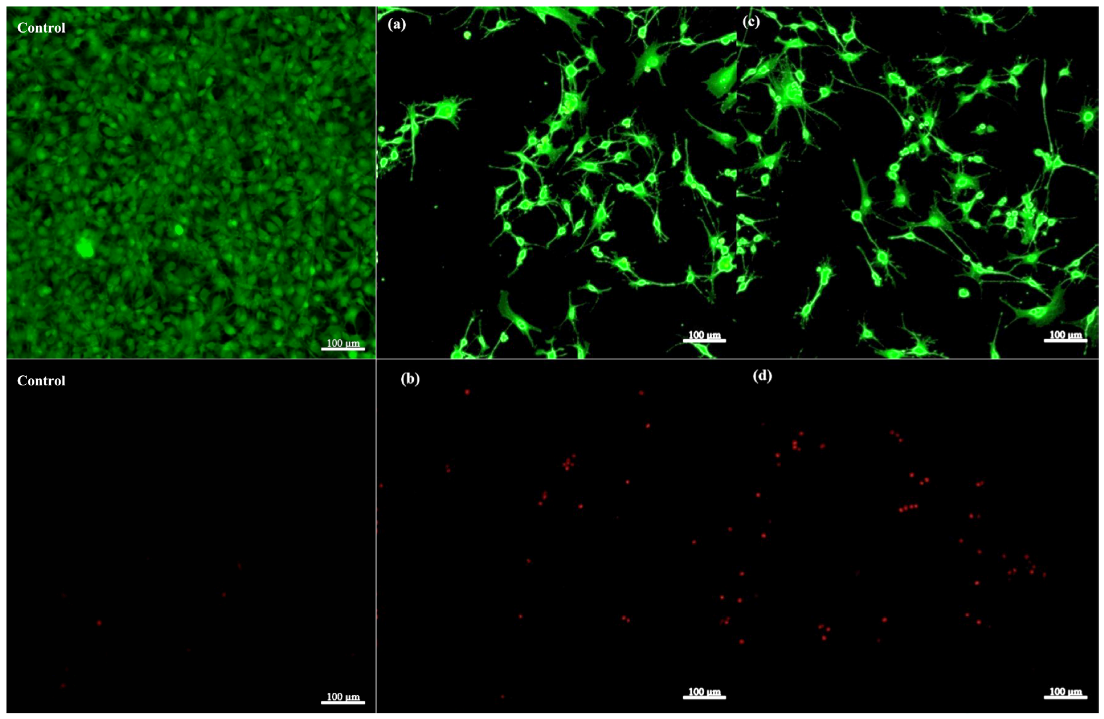 Gels 11 00665 g024 Gels 11 00665 g024