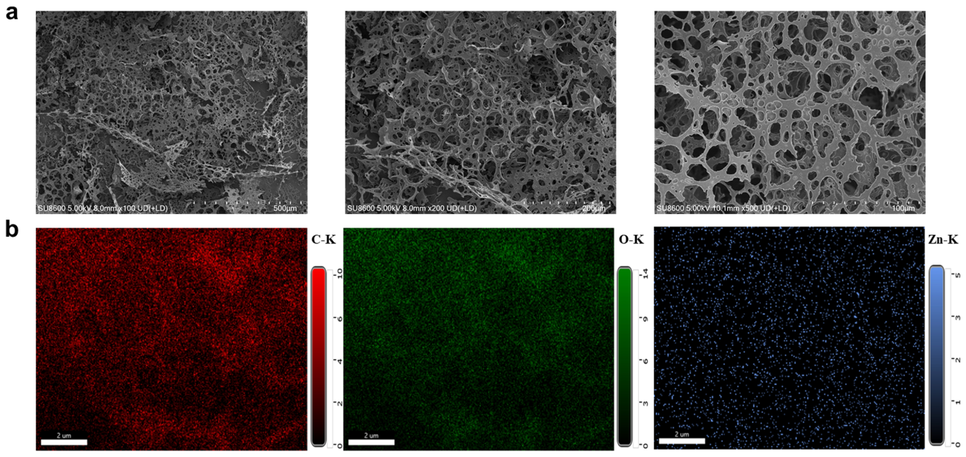 Gels 11 00672 g002 Gels 11 00672 g002