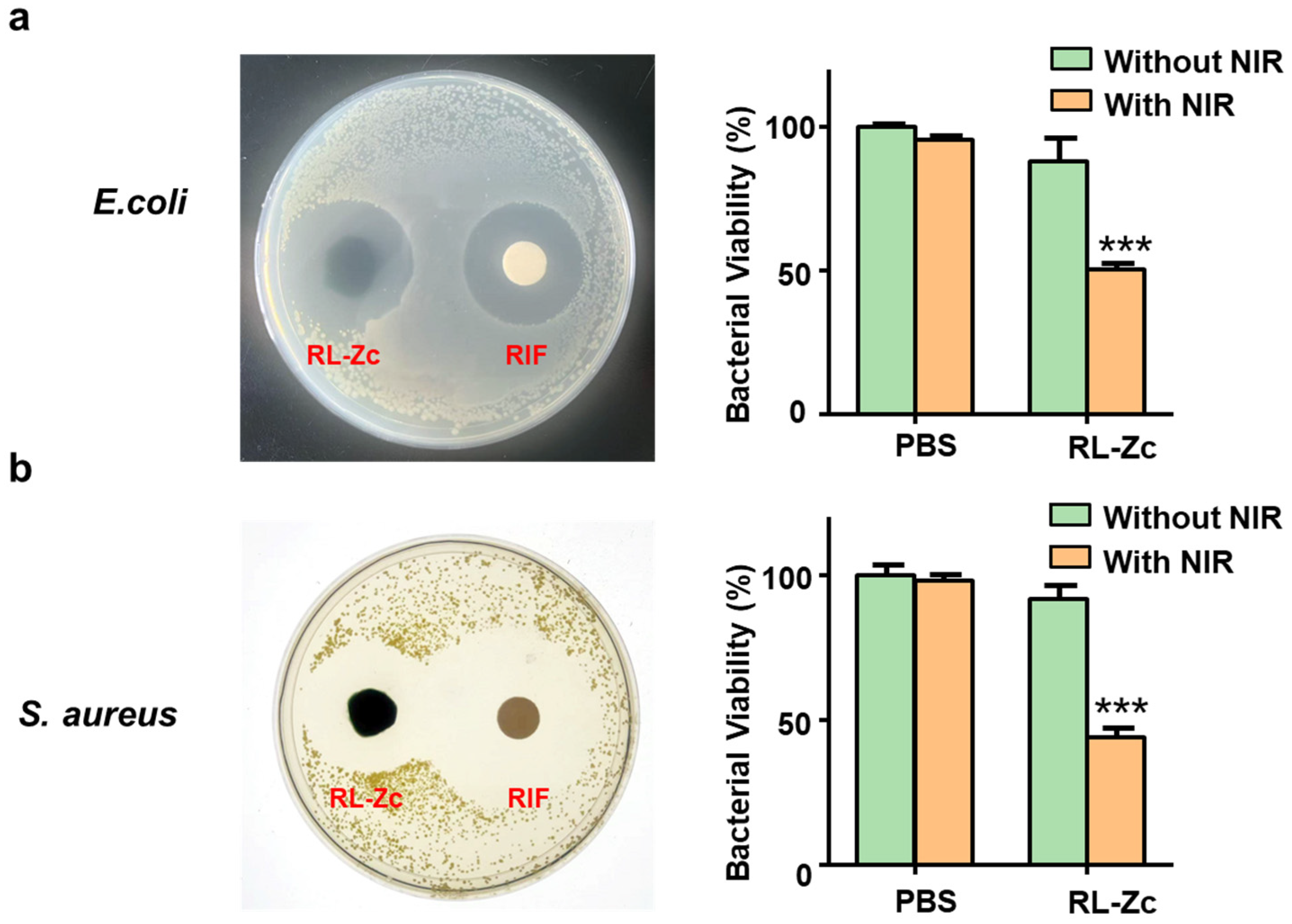 Gels 11 00672 g004 Gels 11 00672 g004