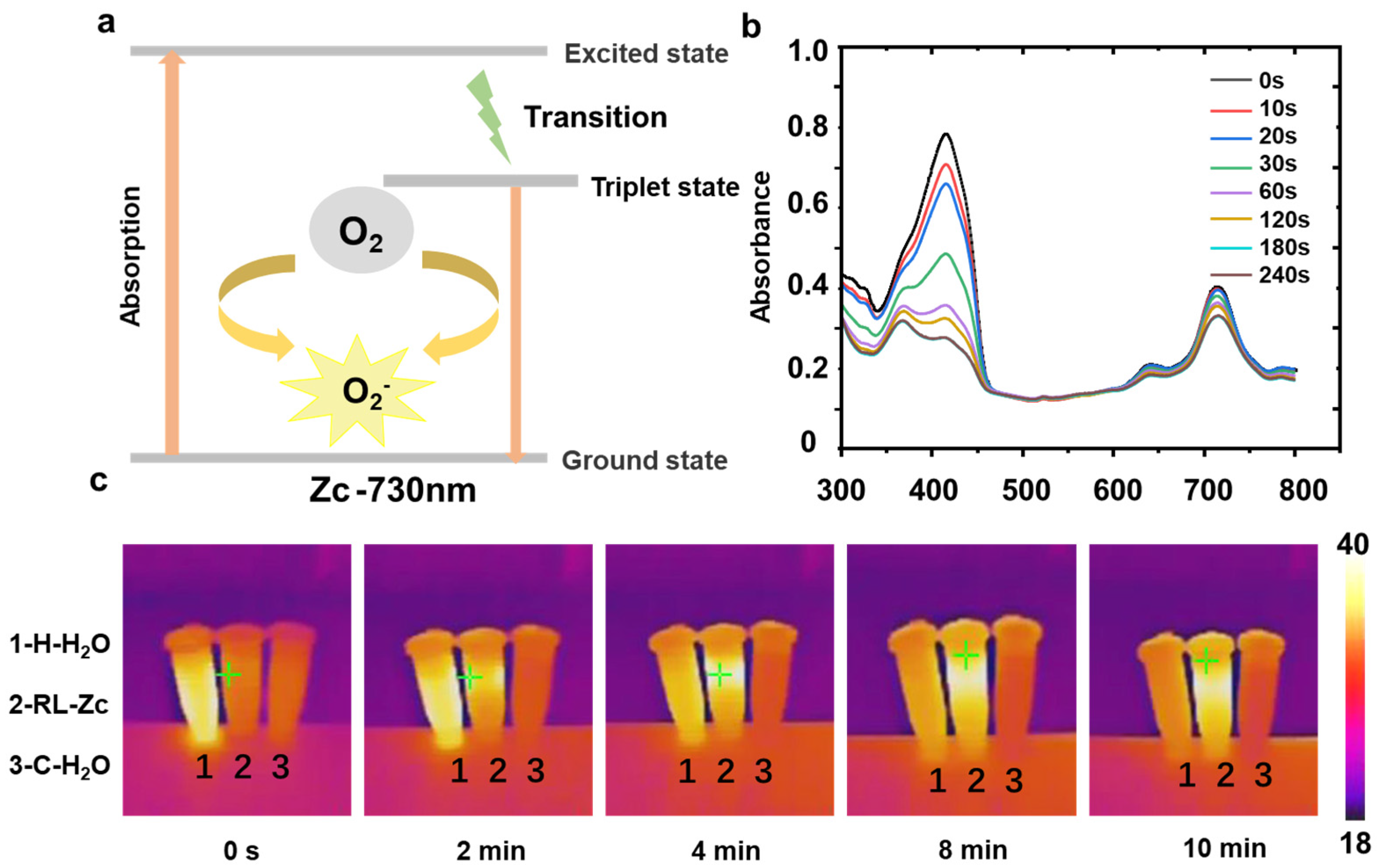 Gels 11 00672 g006 Gels 11 00672 g006