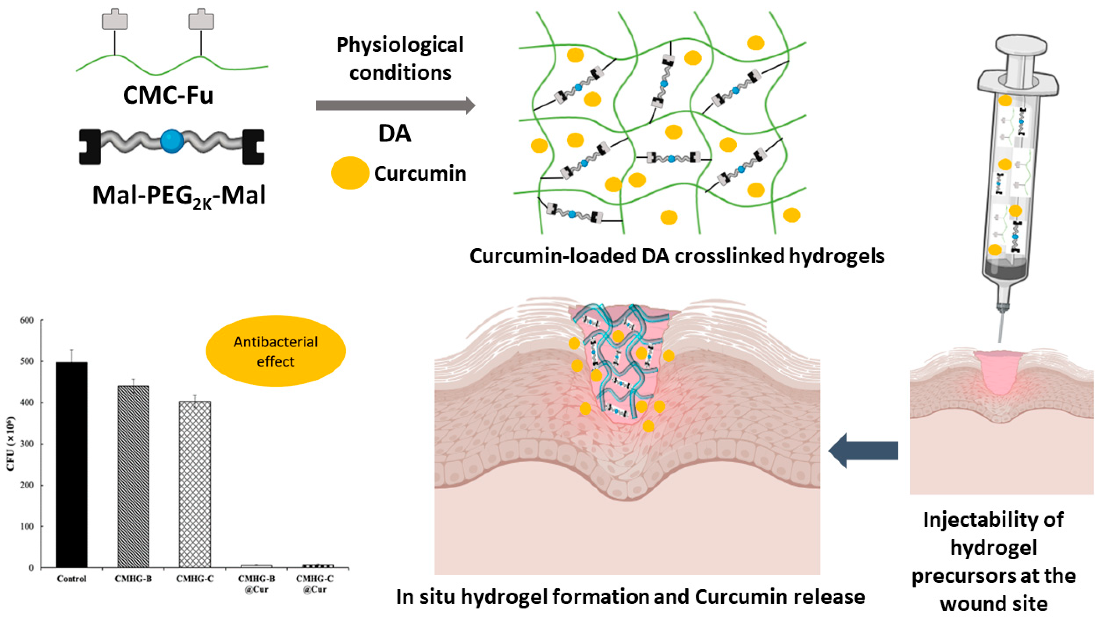 Gels 11 00674 sch001