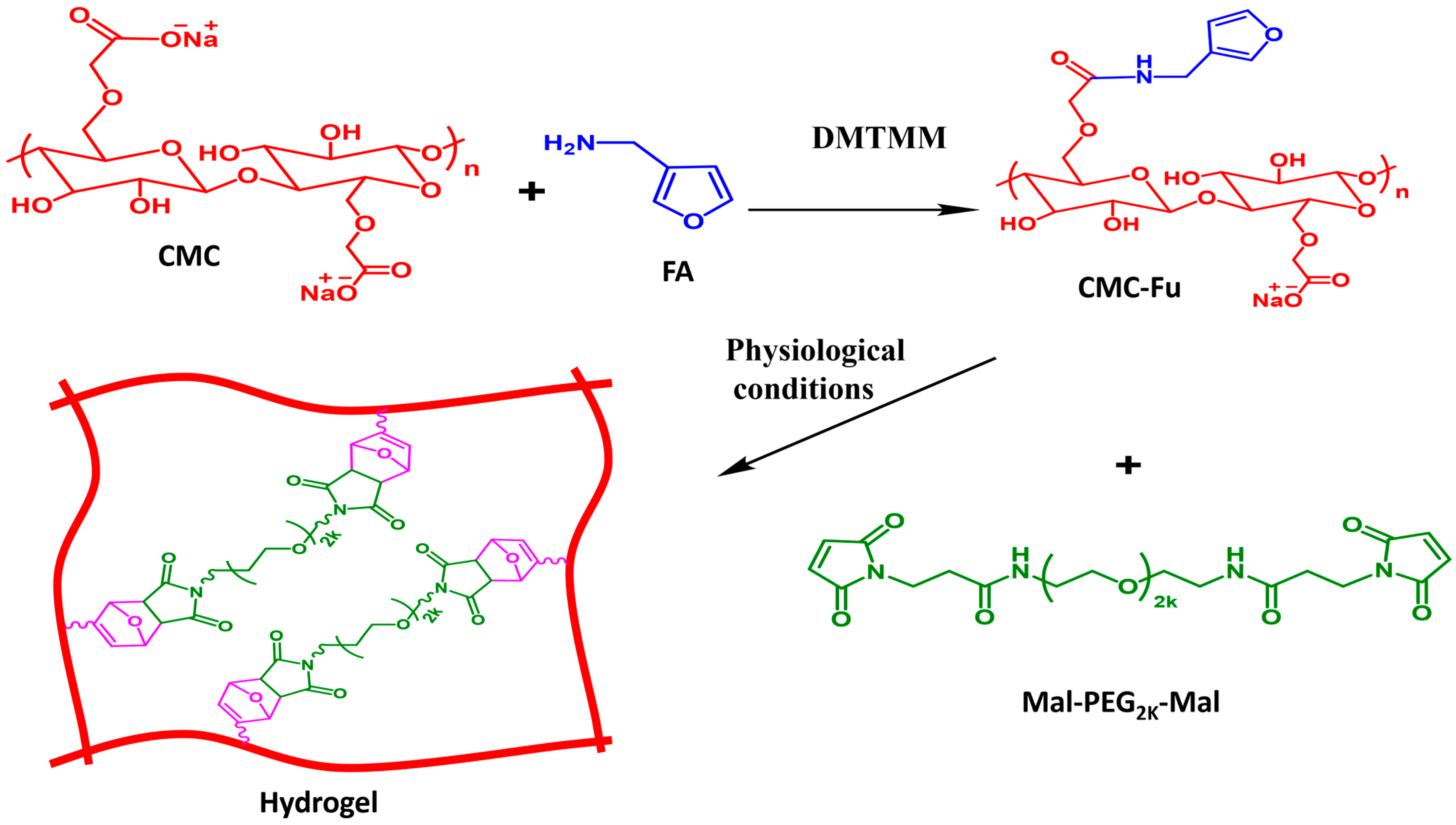 Gels 11 00674 sch002