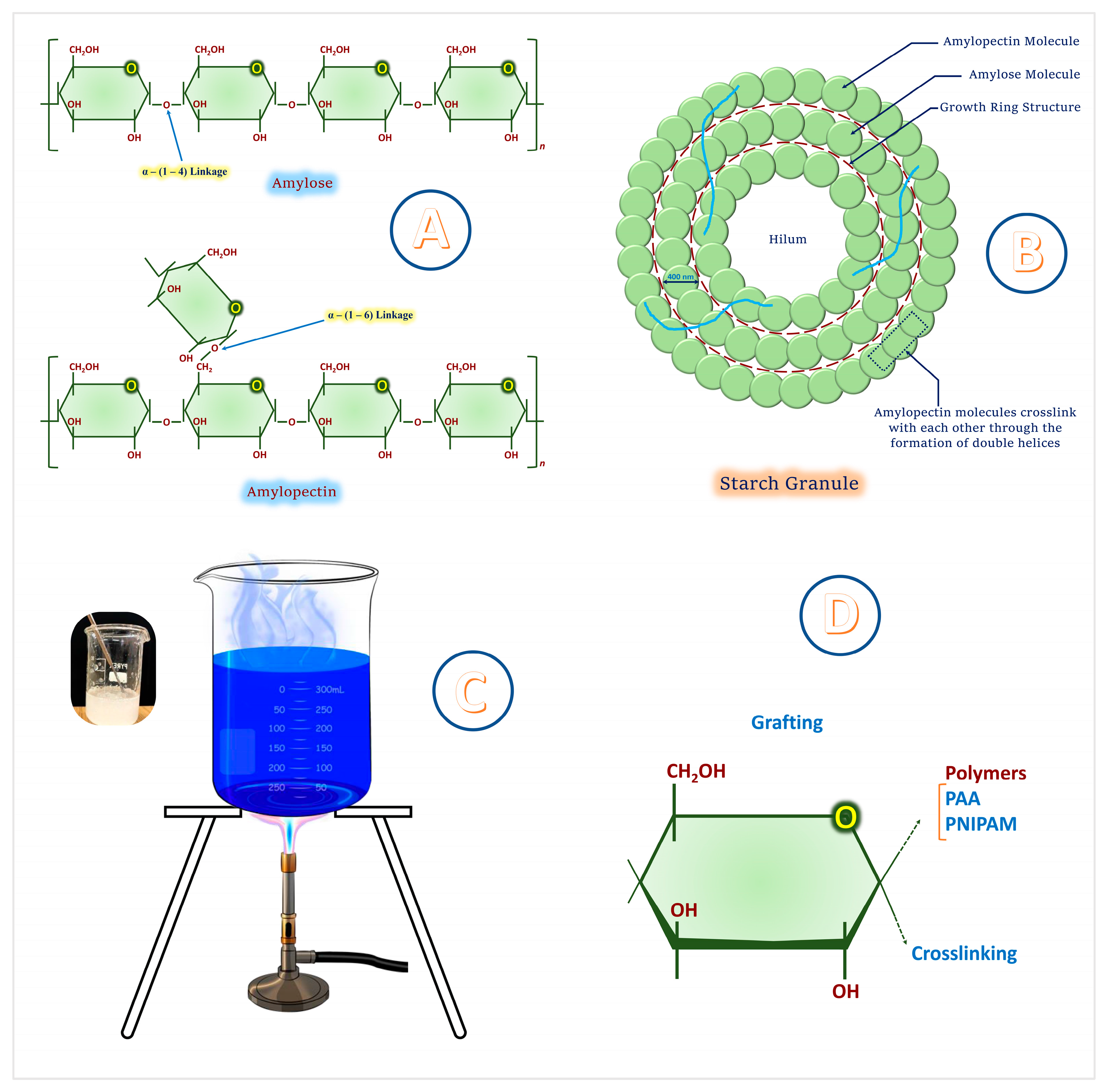 Gels 11 00681 g002 Gels 11 00681 g002
