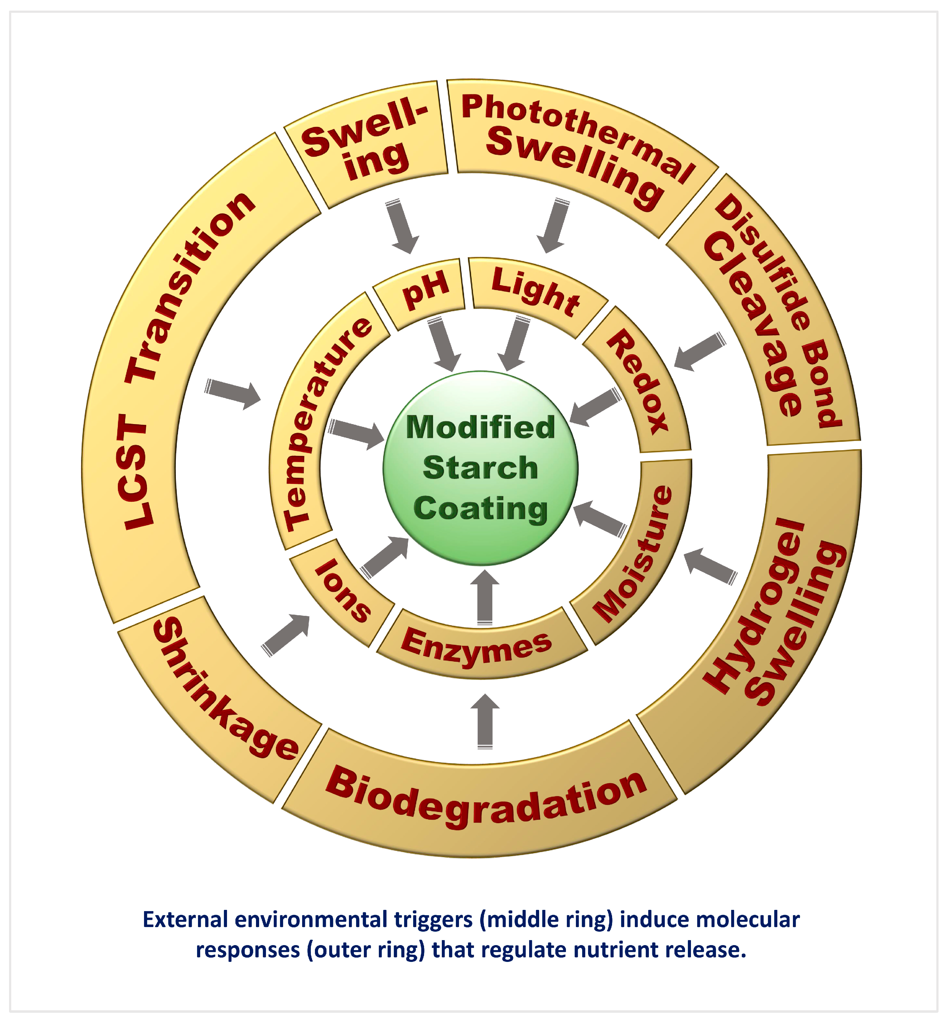 Gels 11 00681 g004 Gels 11 00681 g004