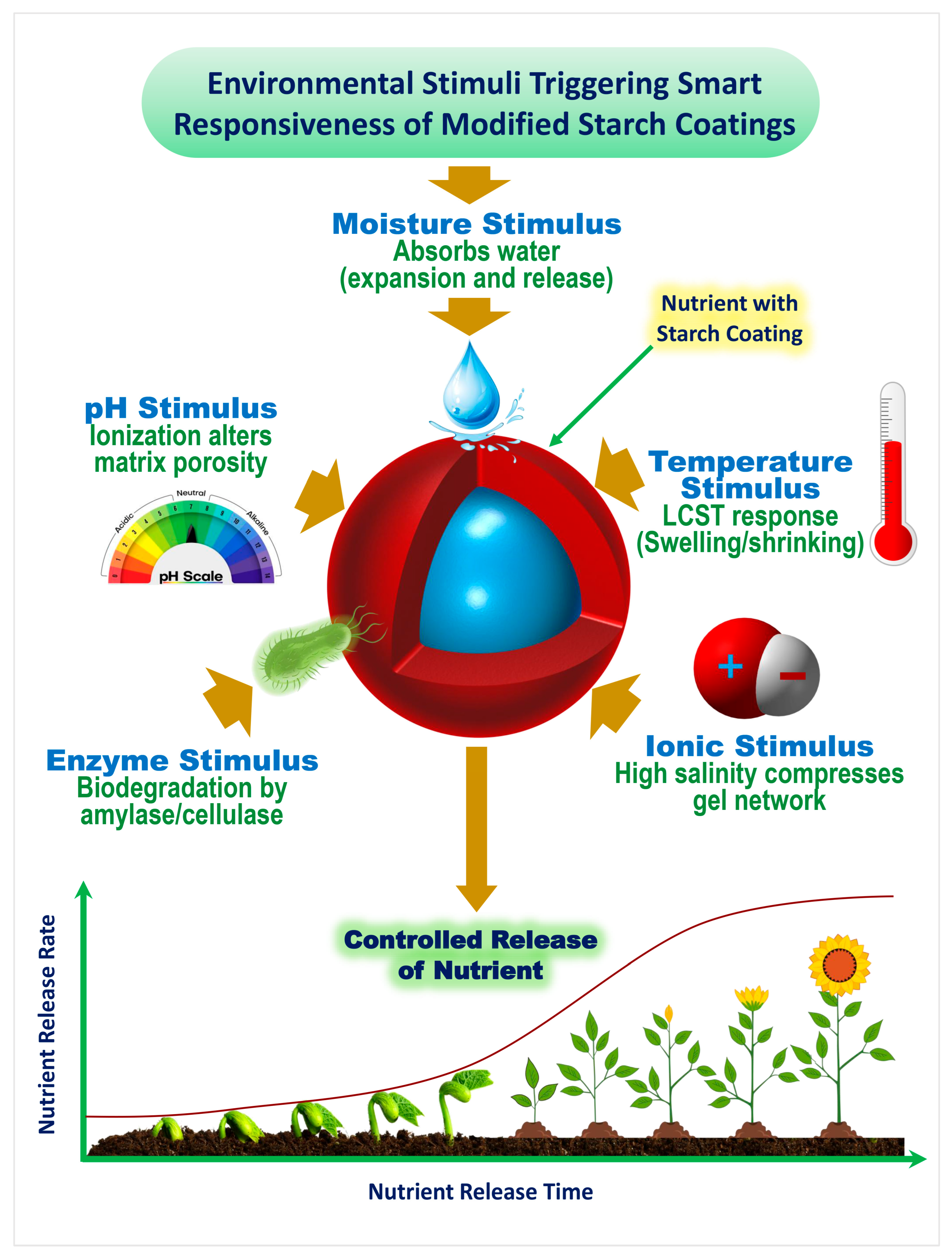 Gels 11 00681 g005 Gels 11 00681 g005