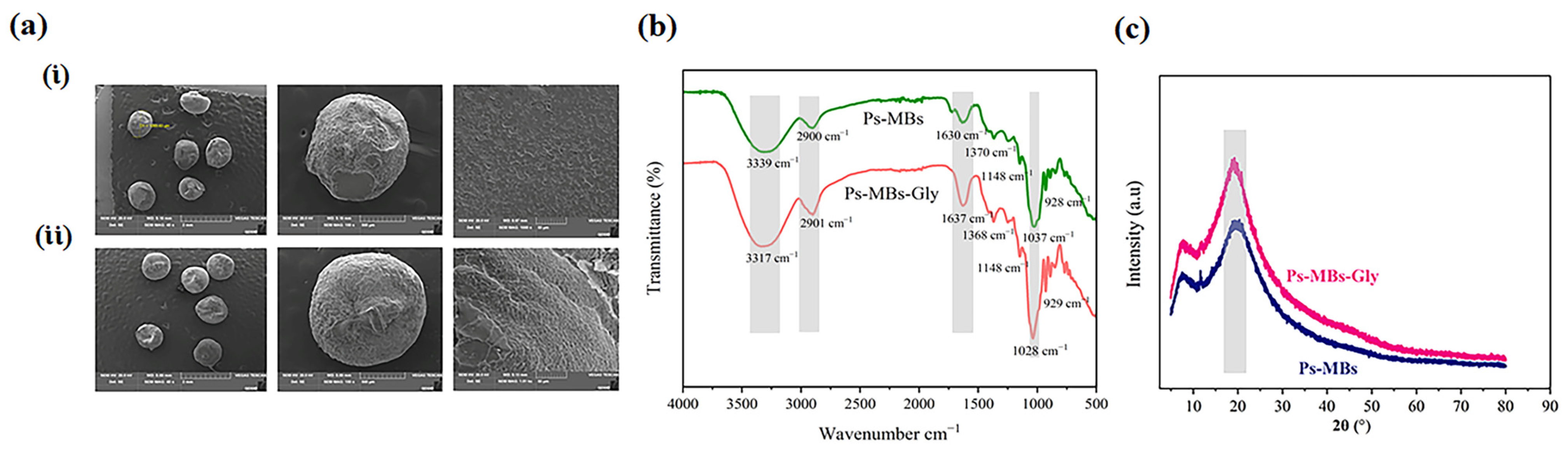 Gels 11 00682 g001 Gels 11 00682 g001