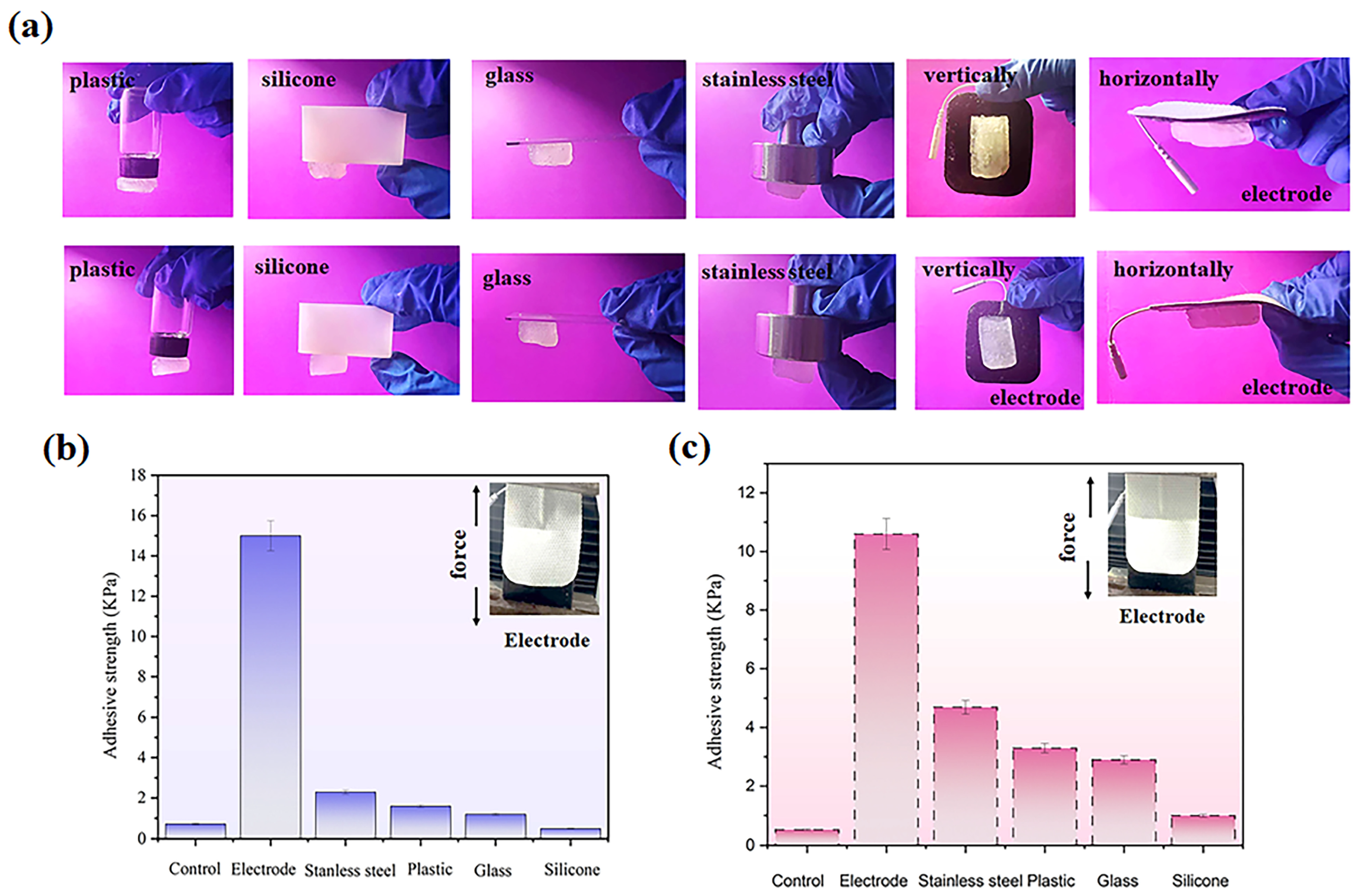 Gels 11 00682 g005 Gels 11 00682 g005
