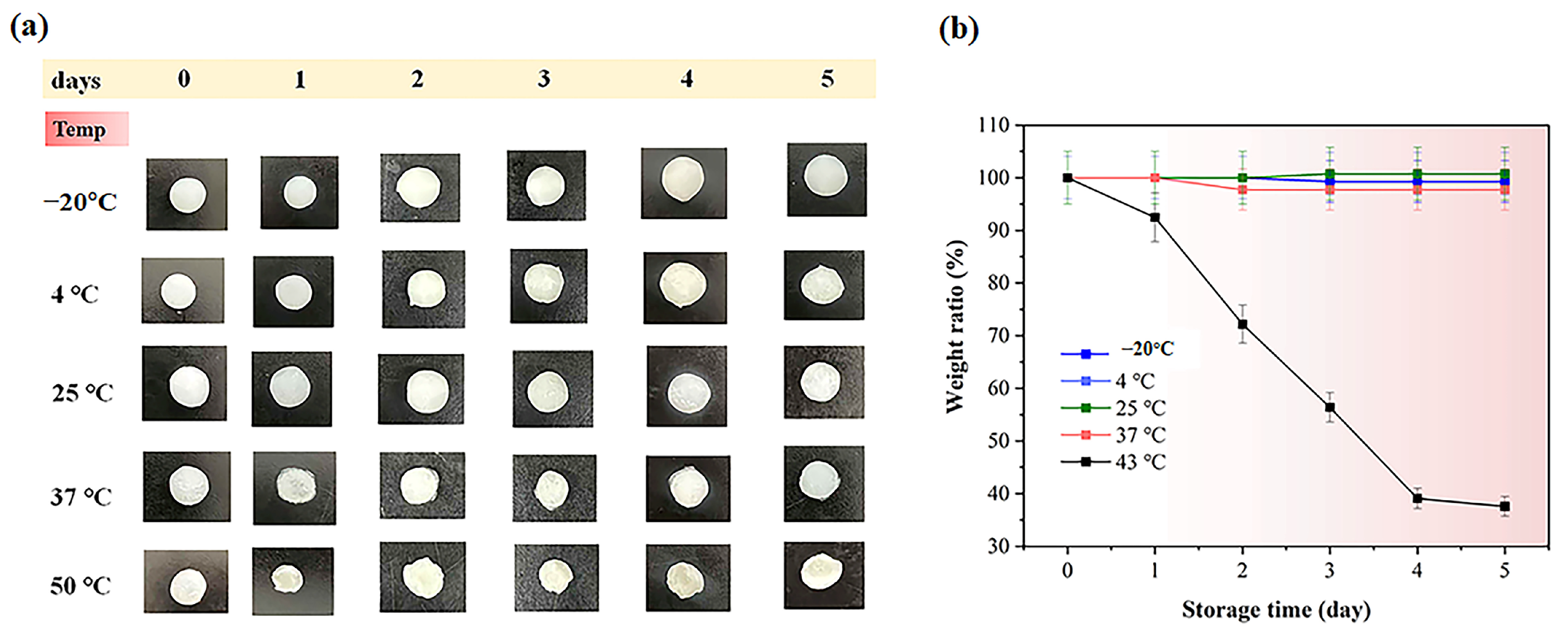 Gels 11 00682 g007 Gels 11 00682 g007