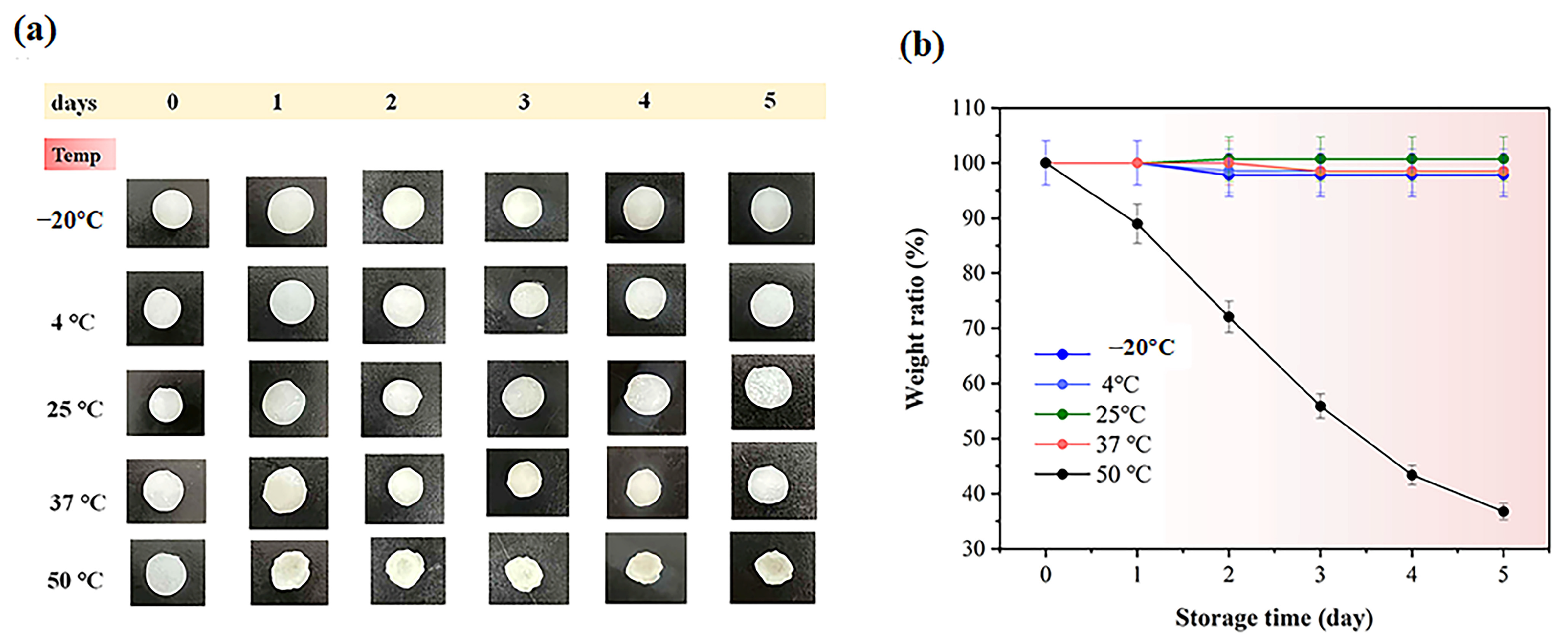Gels 11 00682 g008 Gels 11 00682 g008