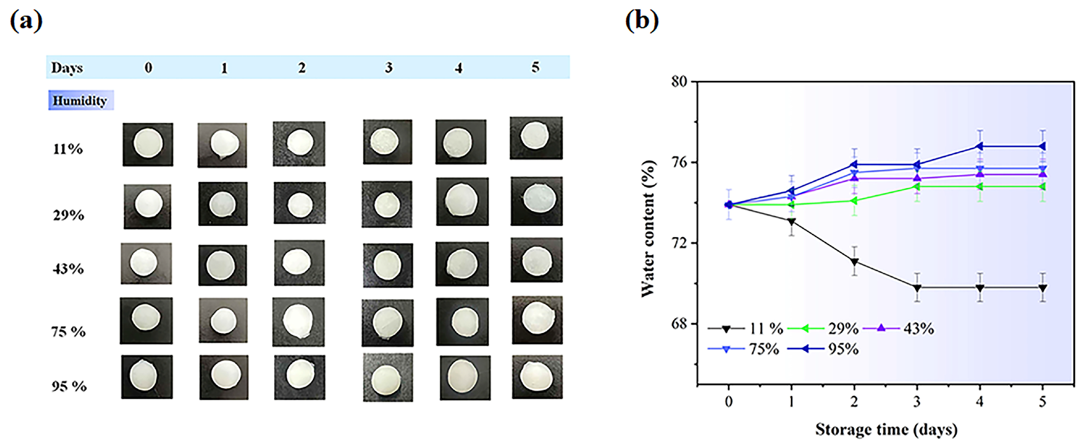 Gels 11 00682 g010 Gels 11 00682 g010