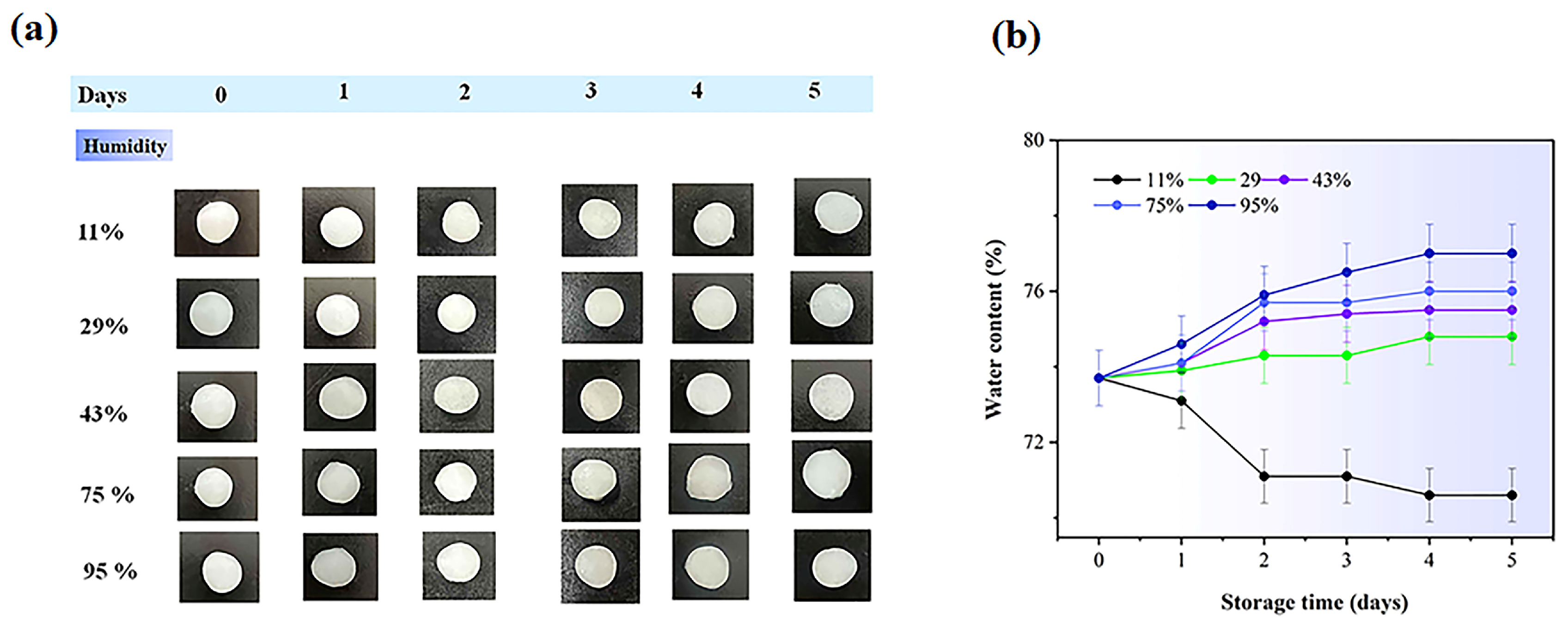 Gels 11 00682 g011 Gels 11 00682 g011