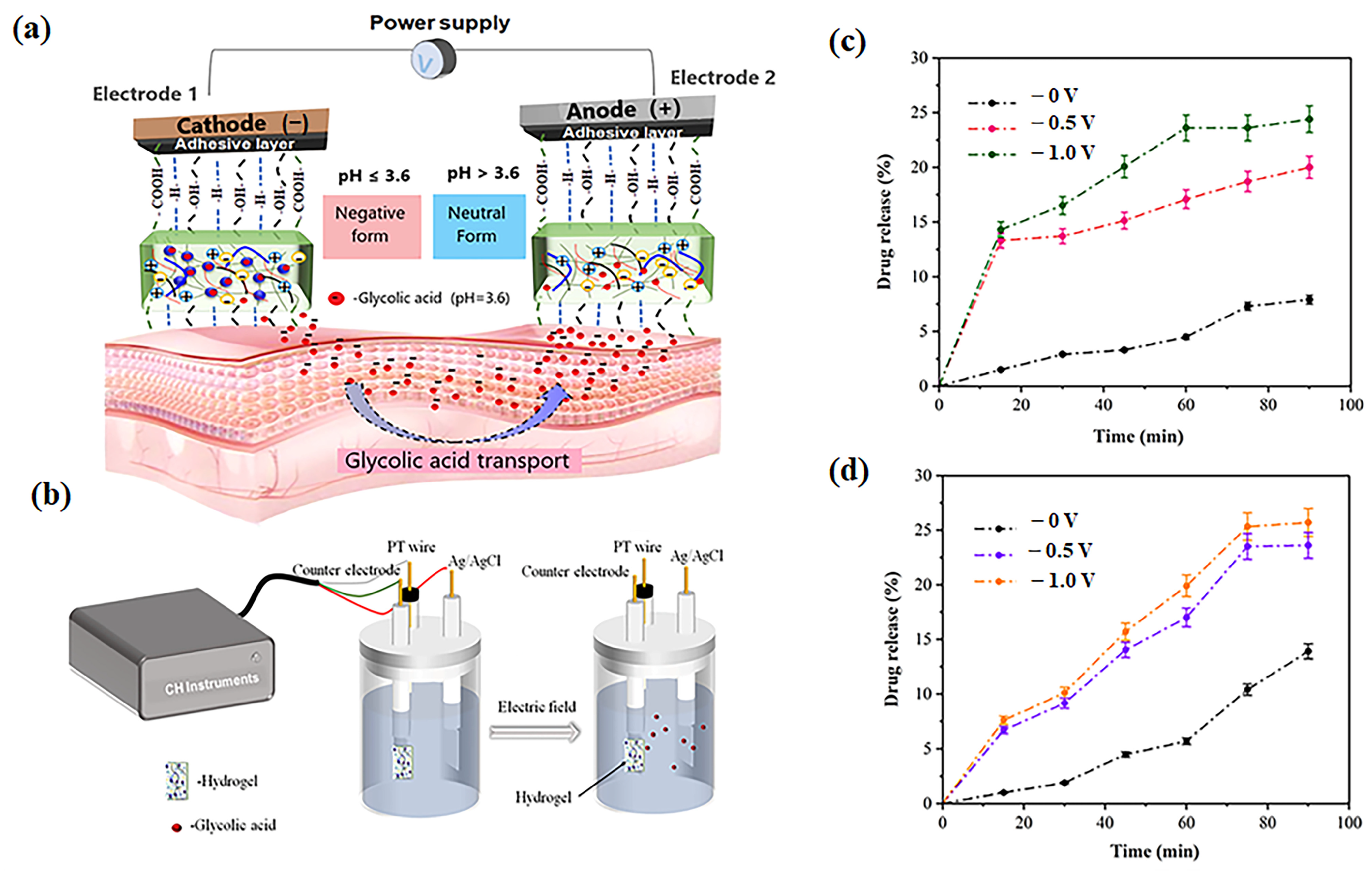 Gels 11 00682 g014 Gels 11 00682 g014